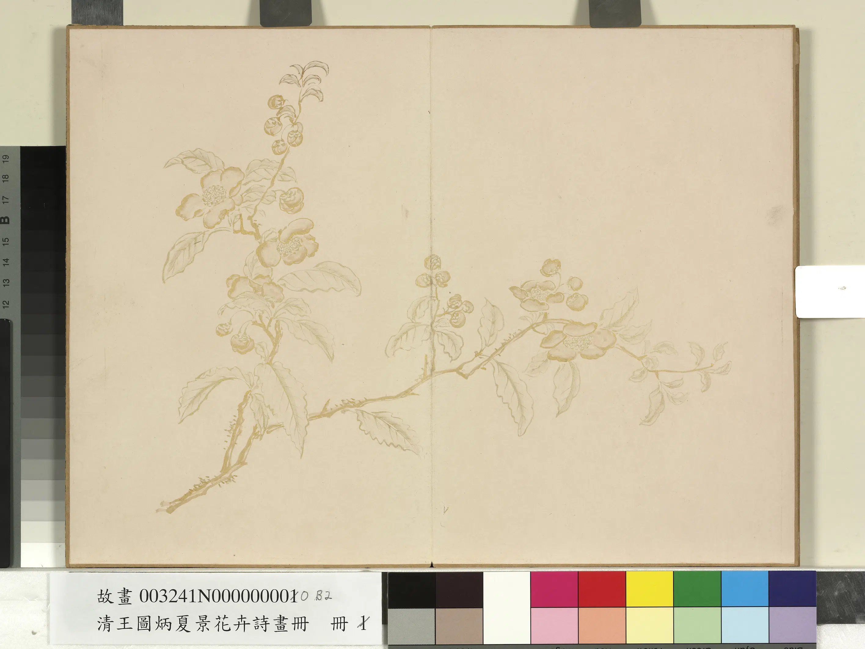 清代【王图炳】《夏景花卉诗画册》 第4张 清代【王图炳】《夏景花卉诗画册》 第4张