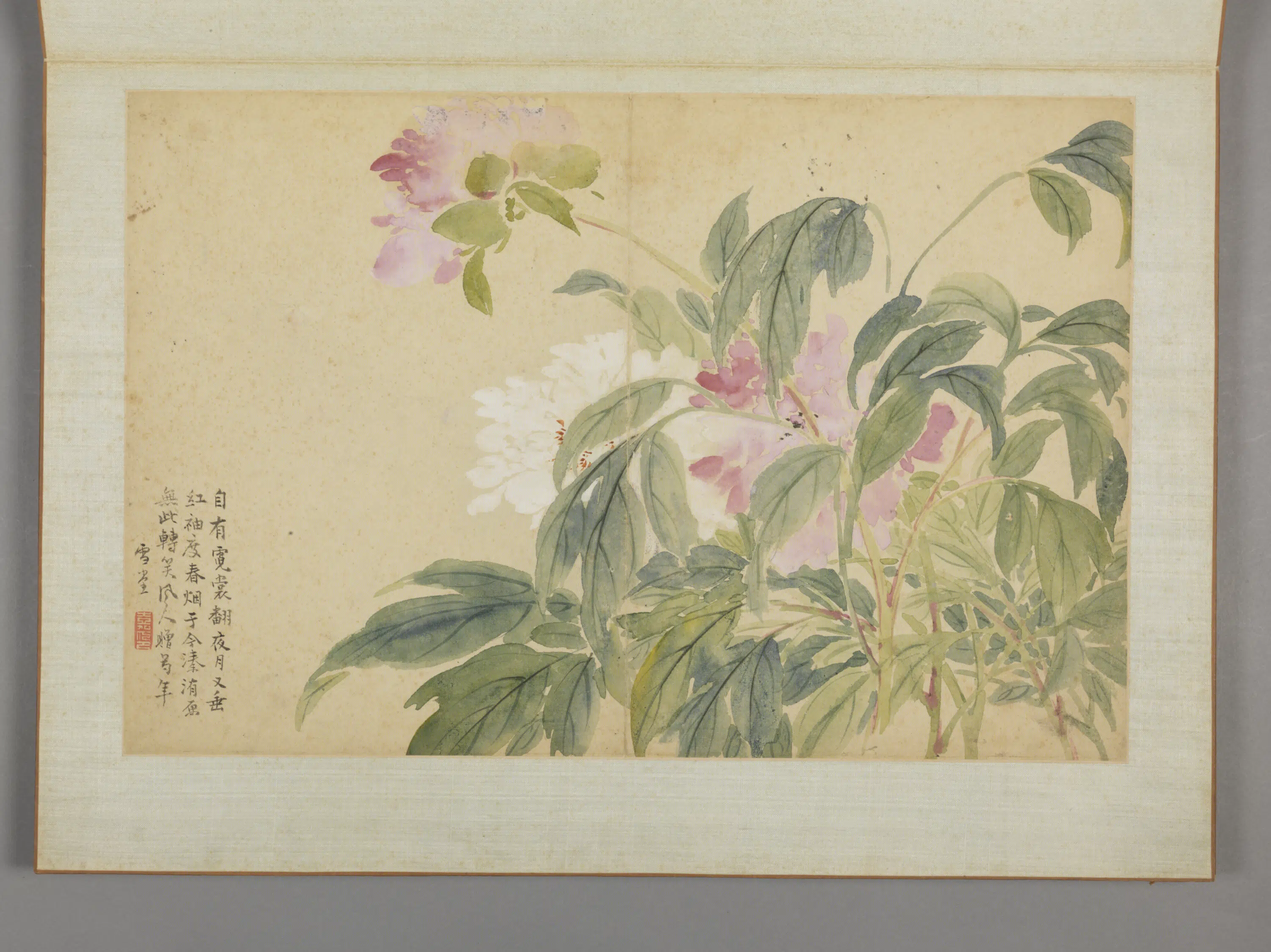 清代【蔡嘉】《花卉图册（11开）》 第6张