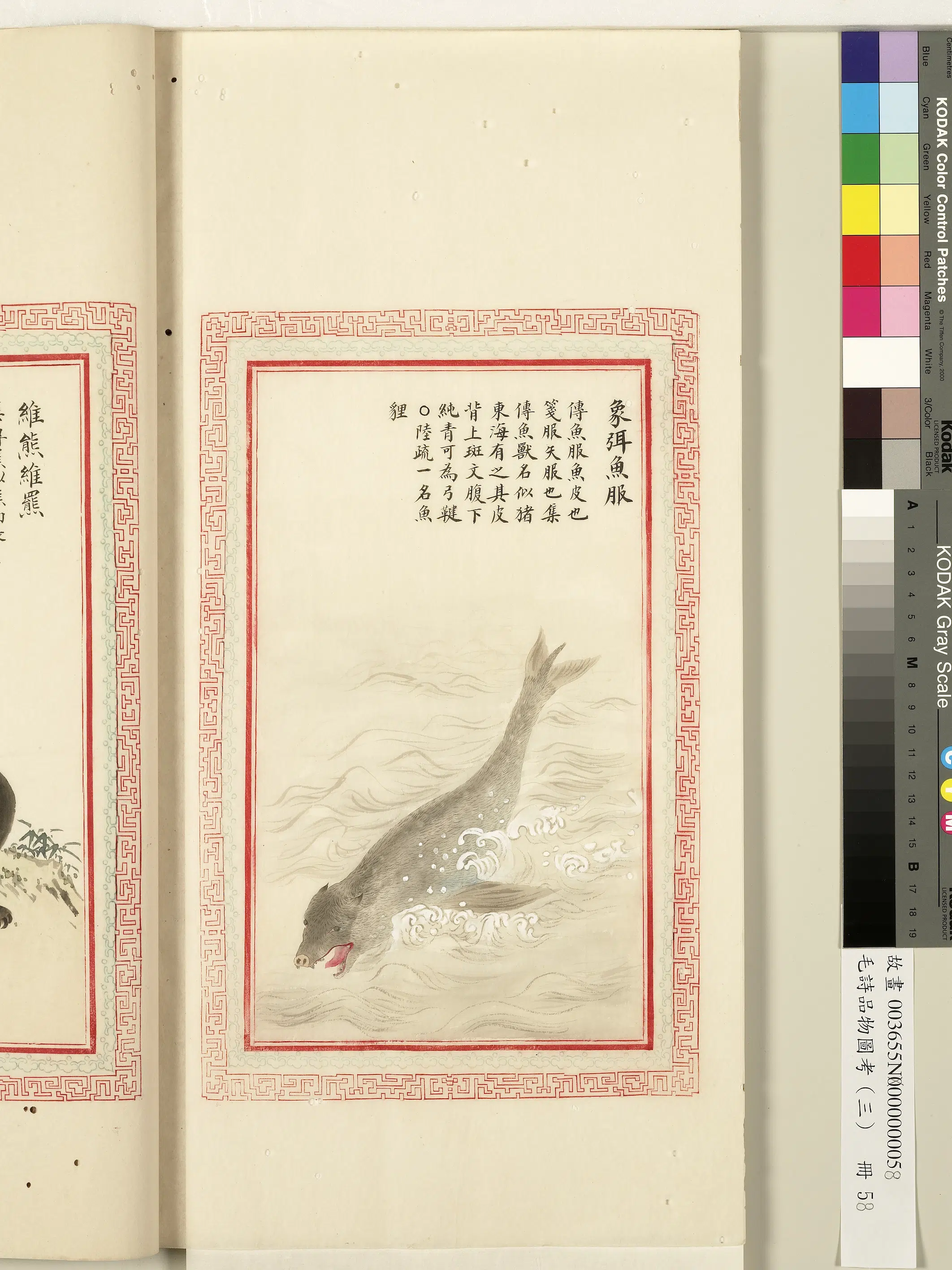 清代《毛诗品物图考(三)册-1》 第47张 清代《毛诗品物图考(三)册-1》 第47张