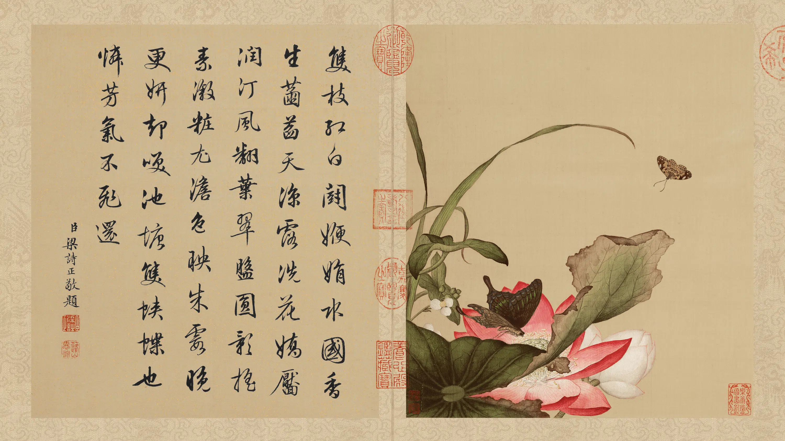 清代【郎世宁】《花鸟册页(10开)》 第8张 清代【郎世宁】《花鸟册页(10开)》 第8张