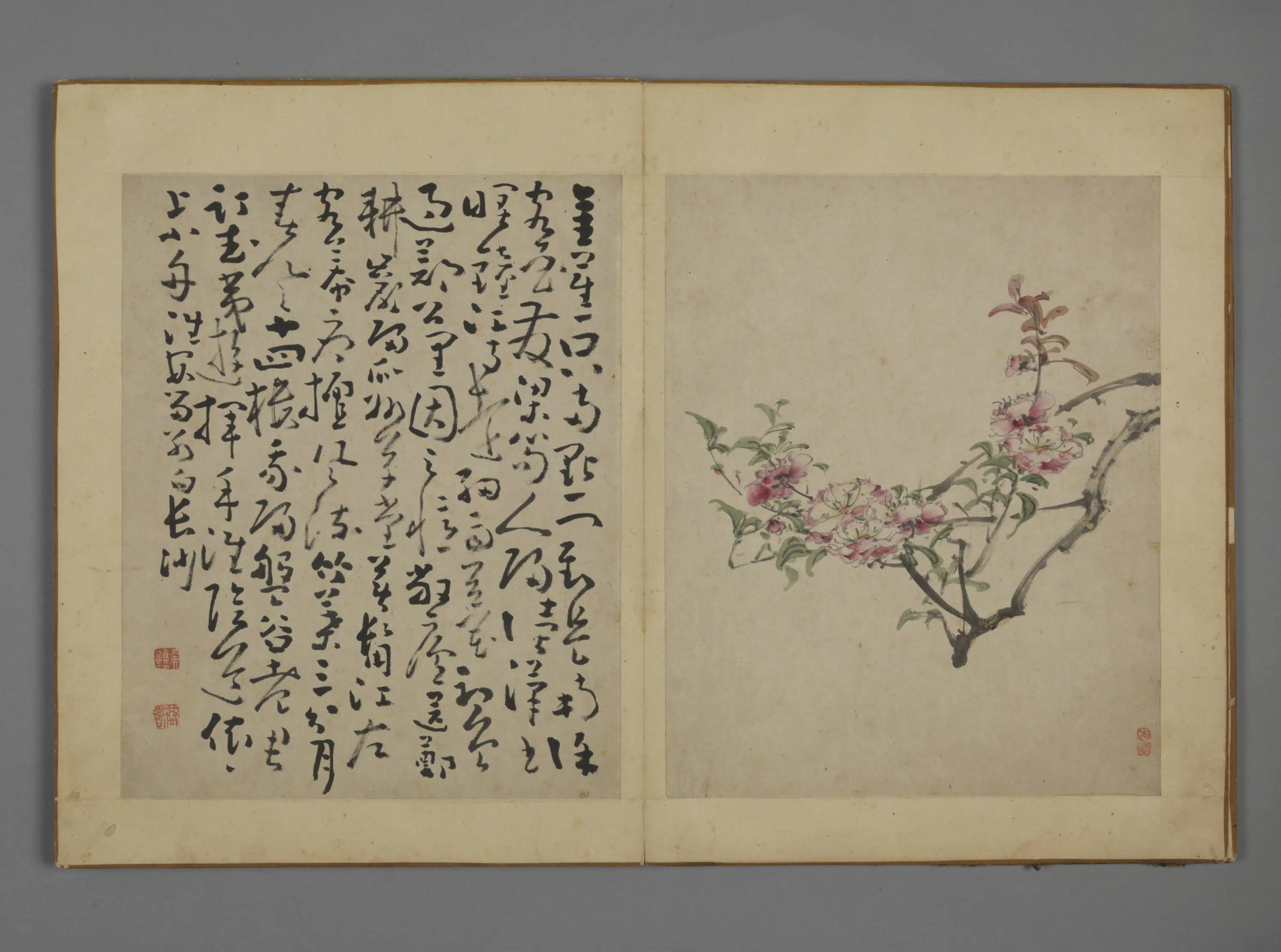 清代【黄慎】《花卉图册》