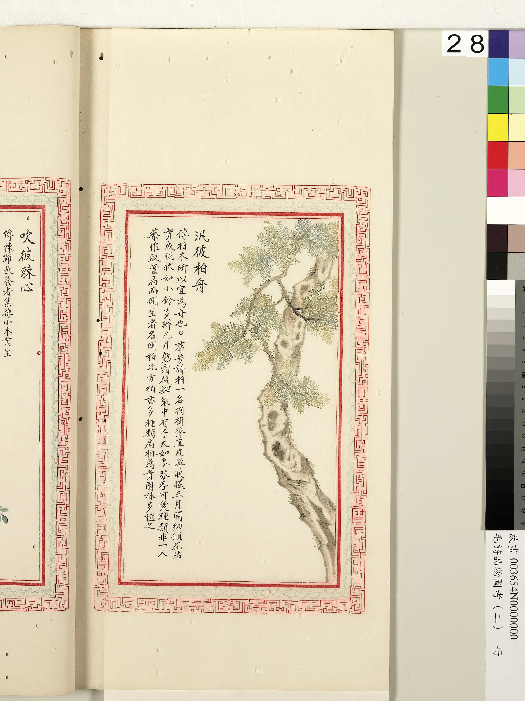 清代《毛诗品物图考(二)册-1》 第37张 清代《毛诗品物图考(二)册-1》 第37张