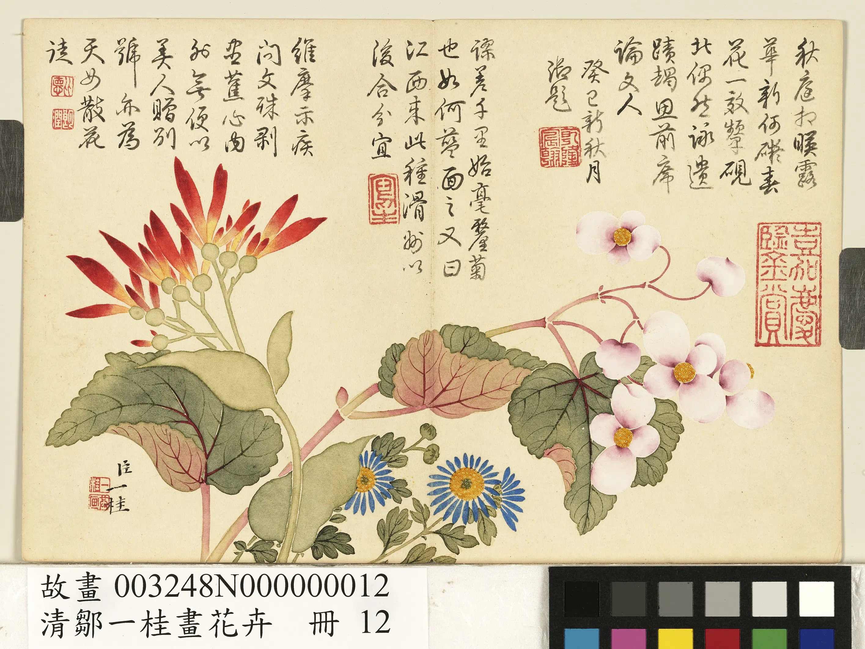 清代【邹一桂】《画花卉册-美人蕉秋海棠》