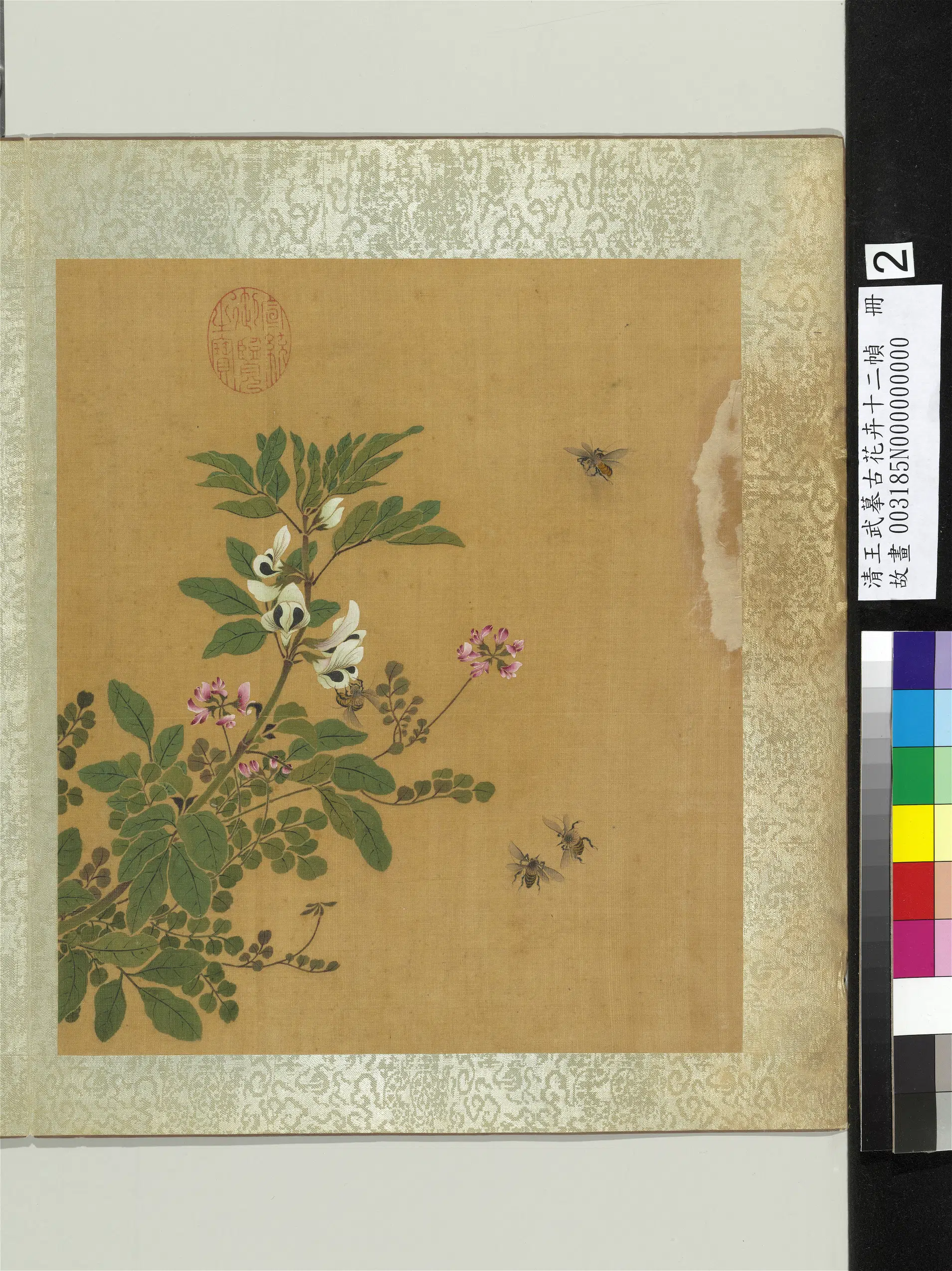 清代【王武】《摹古花卉十二帧册-豆花紫花地丁》