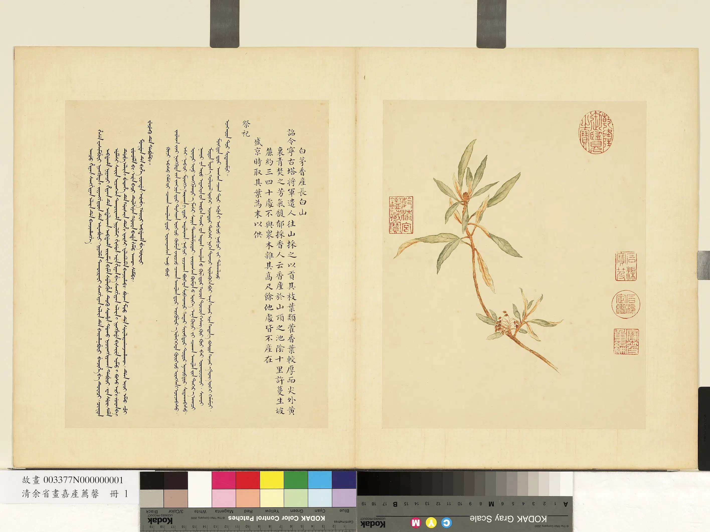 清代【余省】《画嘉产荐馨册》 第2张 清代【余省】《画嘉产荐馨册》 第2张