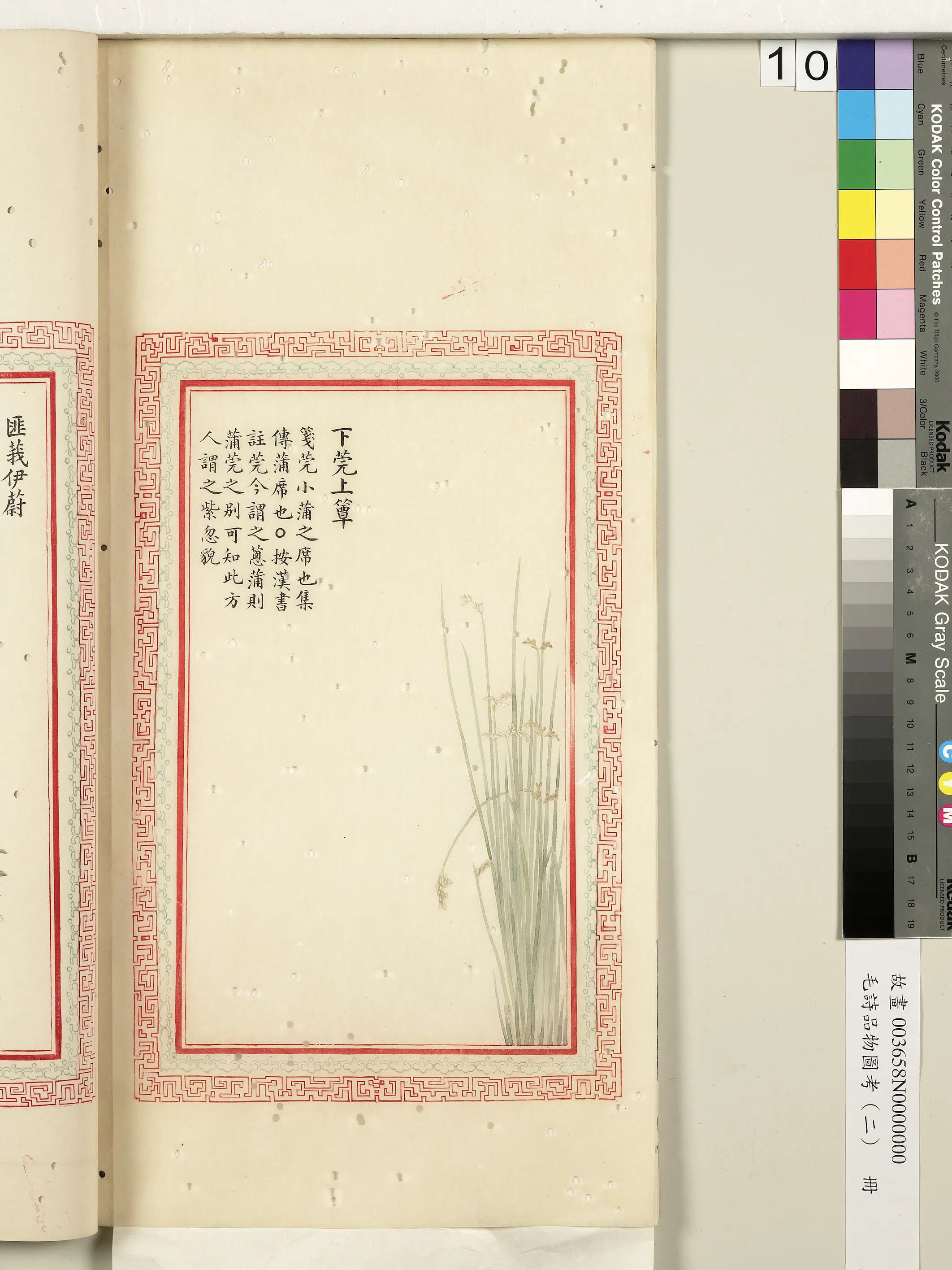 清代《毛诗品物图考（二）册-2》