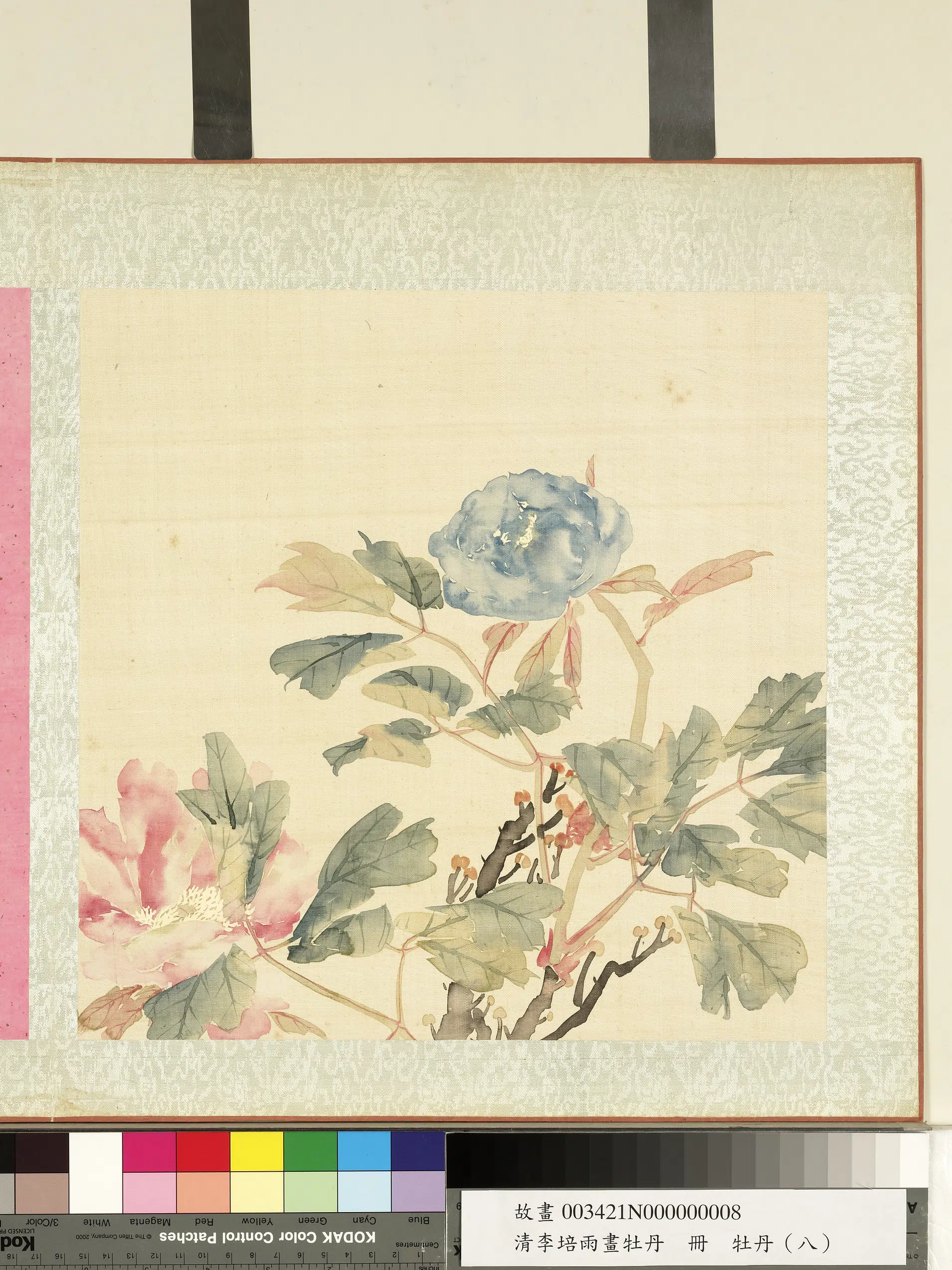 清代【李培雨】《画牡丹册-牡丹（八）》 第1张
