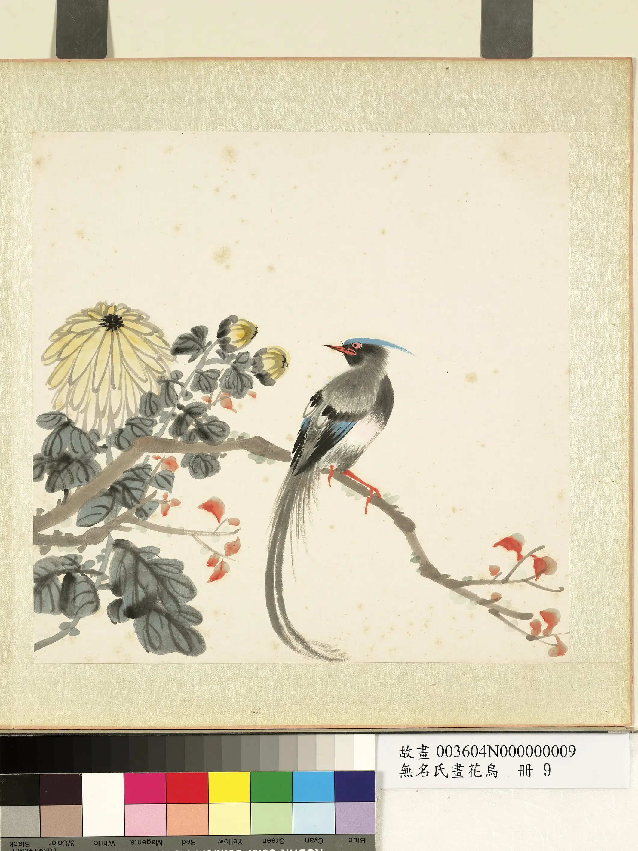 《无名氏画花鸟册-菊树》 第1张 《无名氏画花鸟册-菊树》 第1张