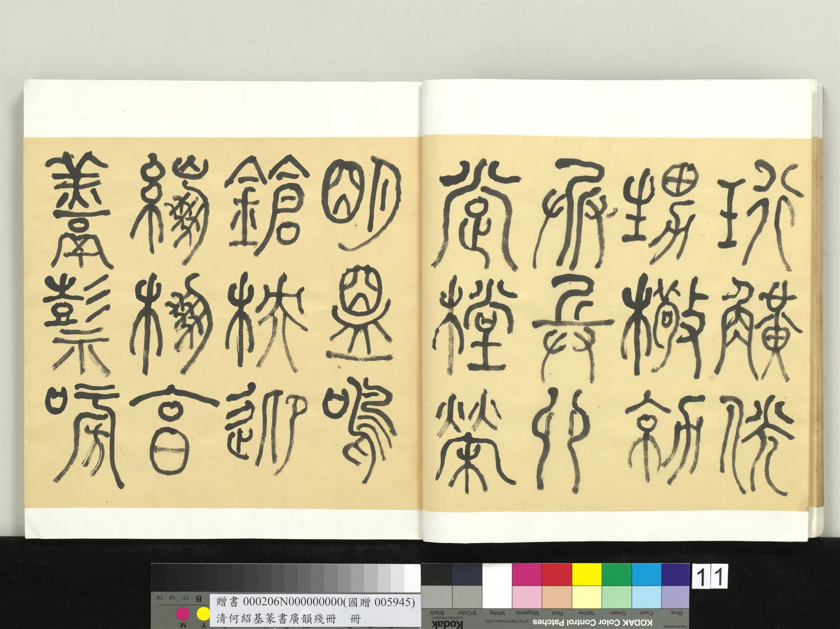 清代【何绍基】《篆书广韵册》 第11张