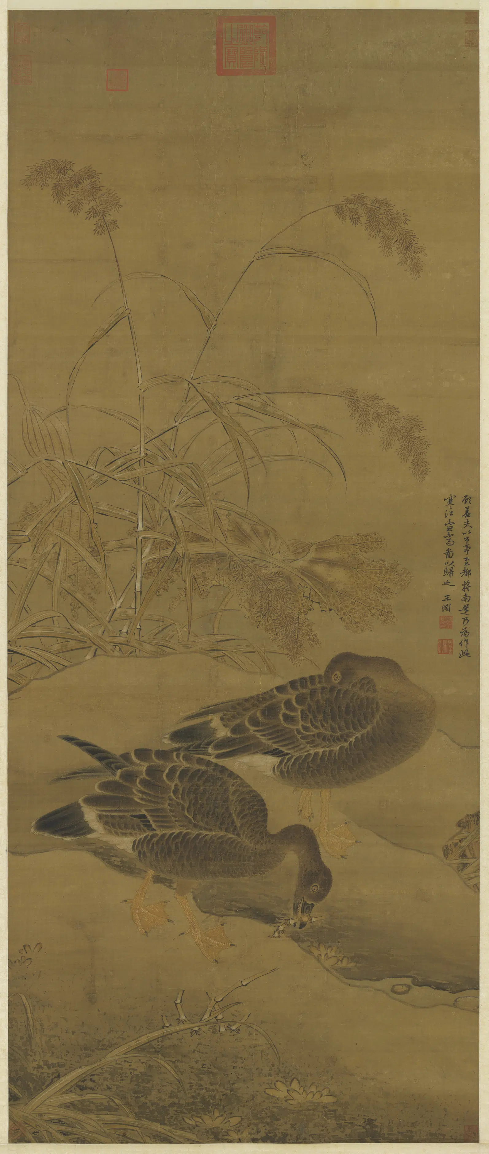 元朝【王渊】《寒江芦雁图》