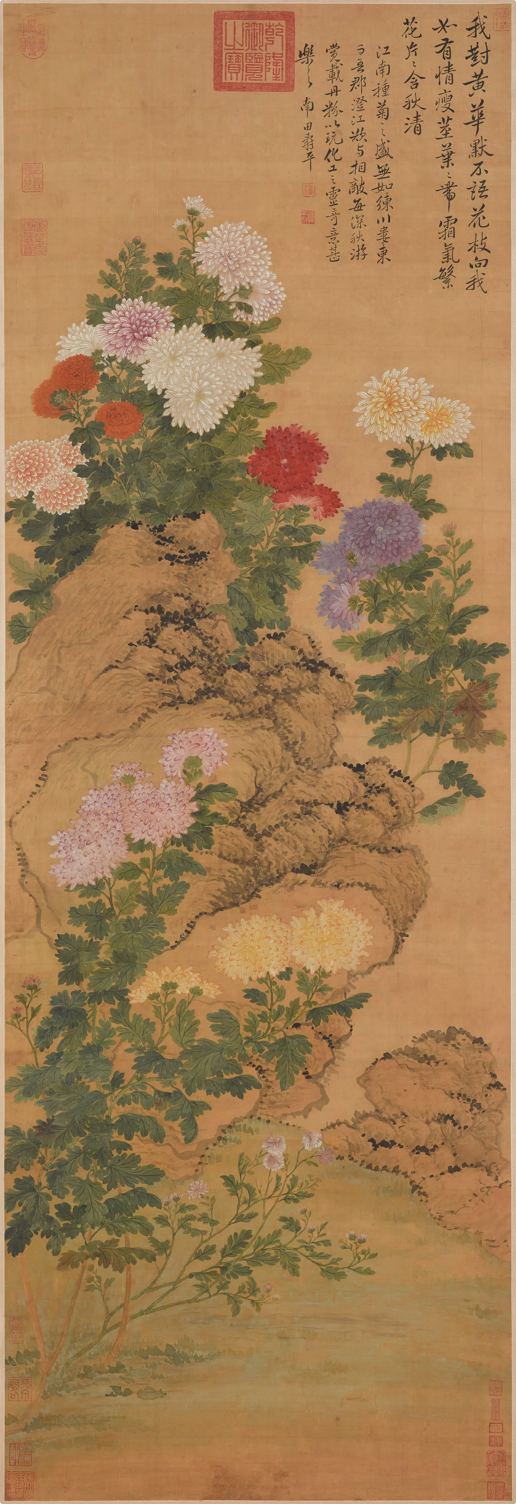 清代【恽寿平】《菊石图轴》
