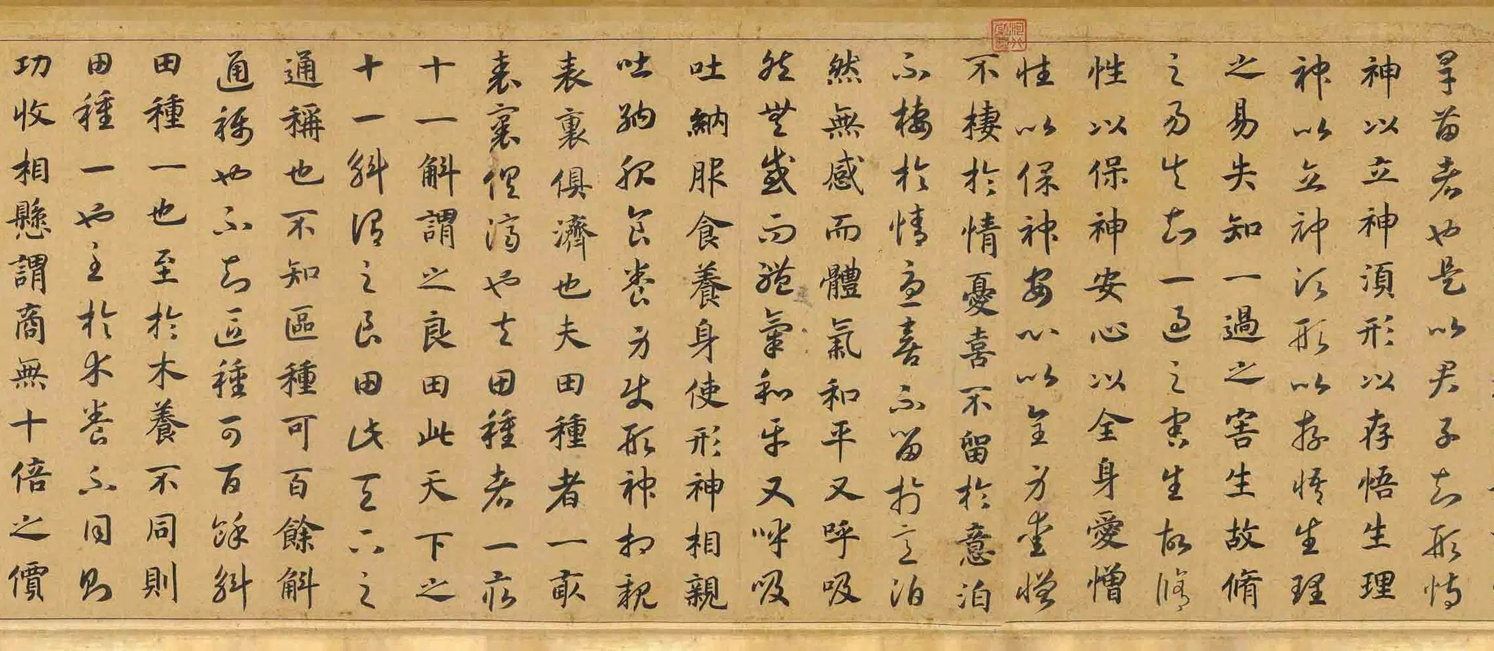 南宋【赵构-宋高宗】《真草养生论卷》 第10张