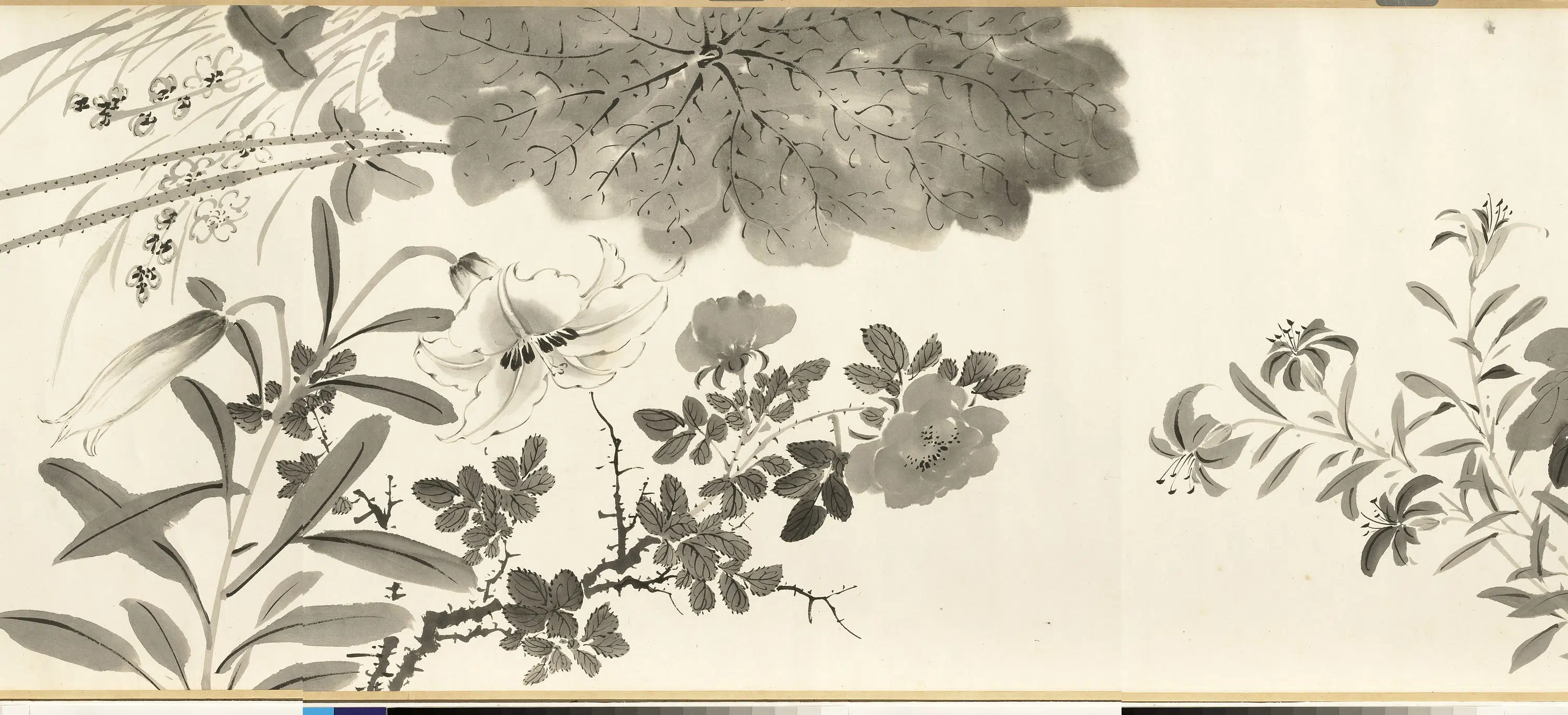 清代【张画】《画杂卉卷》 第5张