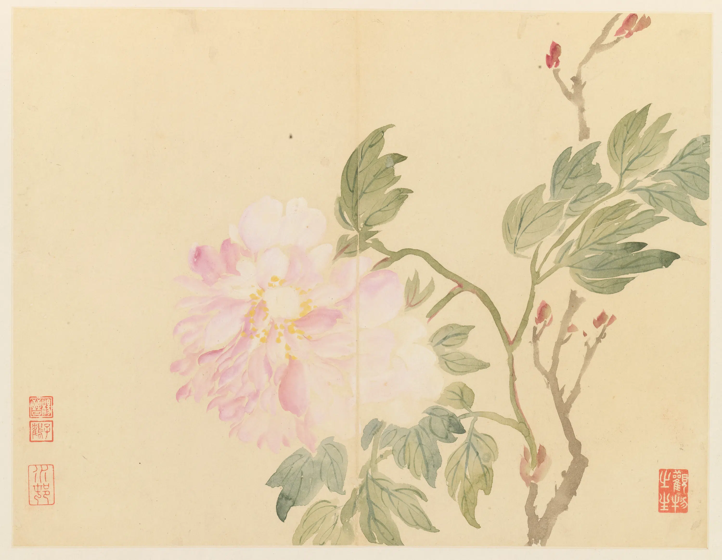 清代【杨晋】《山水花鸟册》
