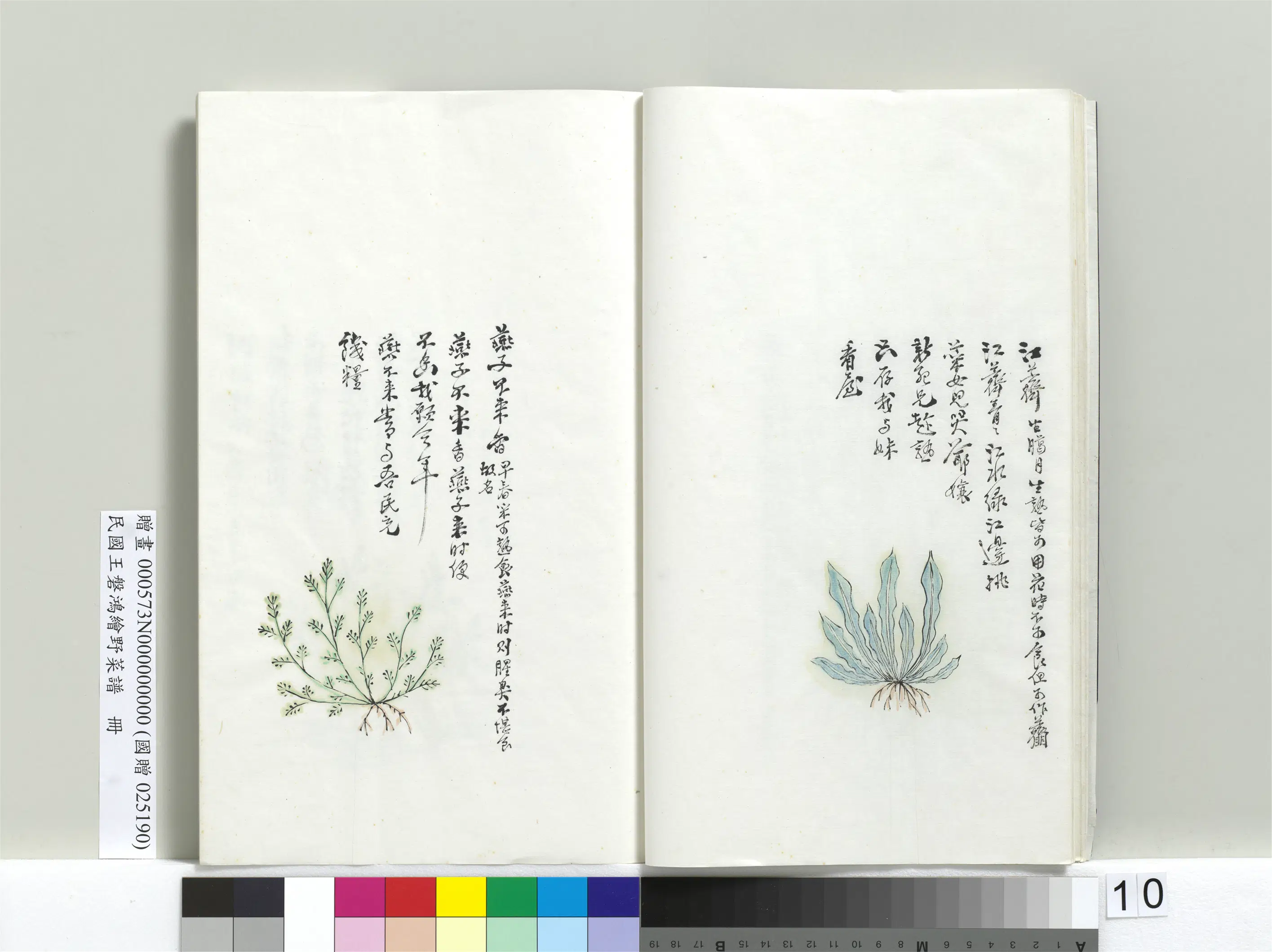 《绘王盘野菜谱册-江荠》