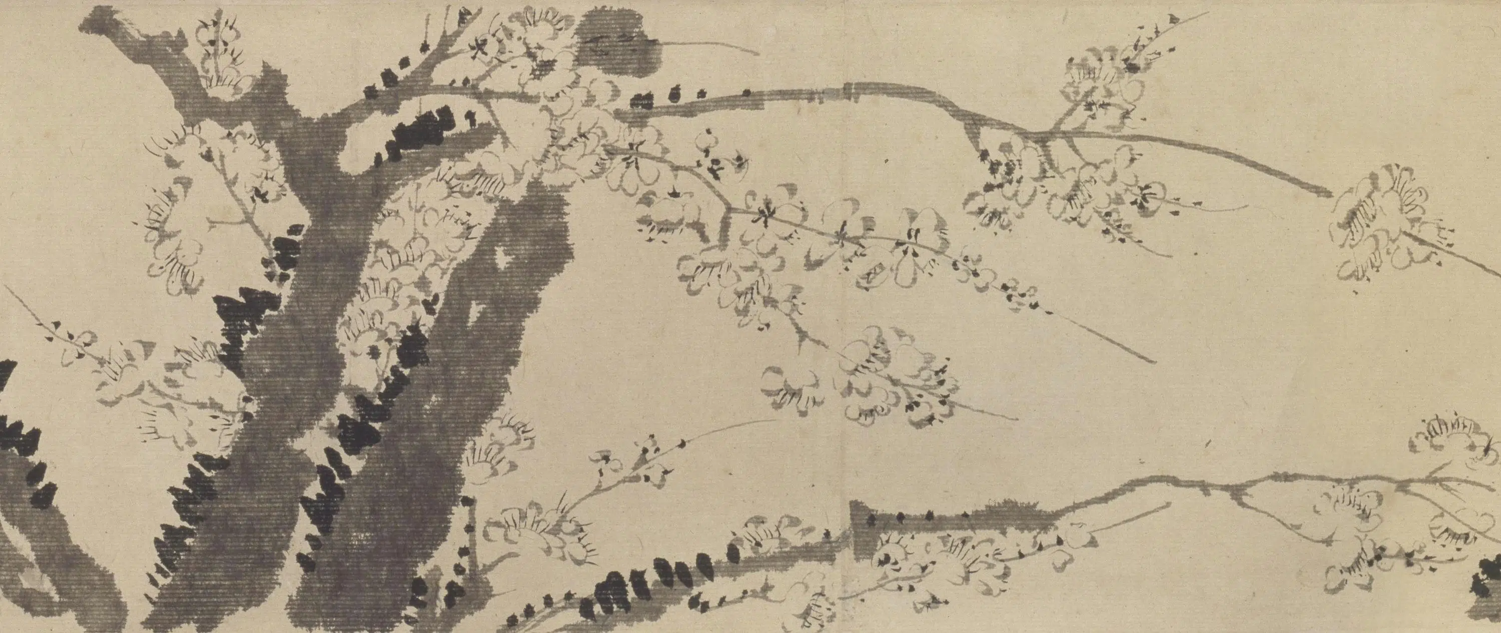 清代【汪士慎】《墨梅图卷》 第4张