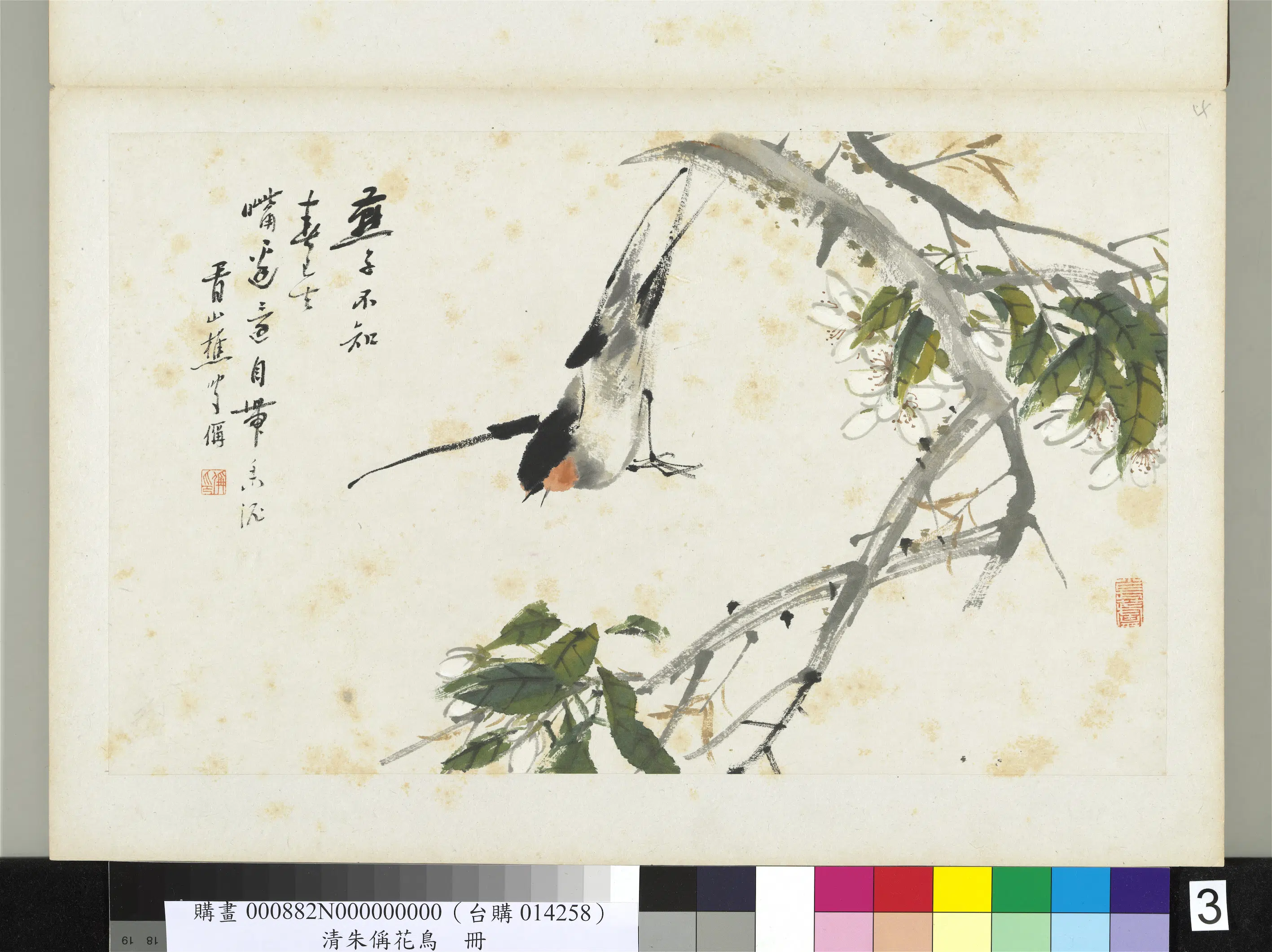 清代【朱偁】《花鸟册》 第5张