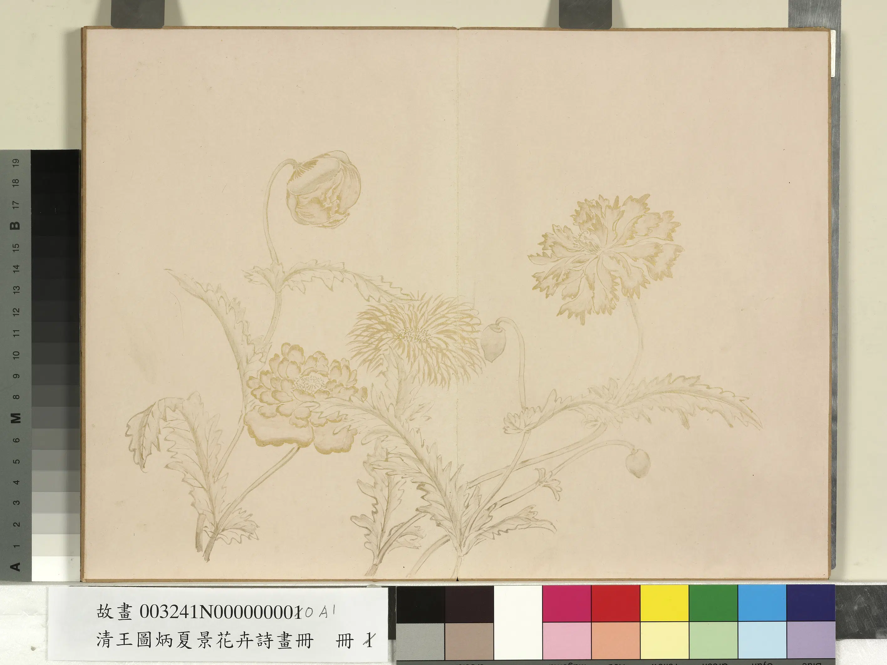 清代【王图炳】《夏景花卉诗画册》