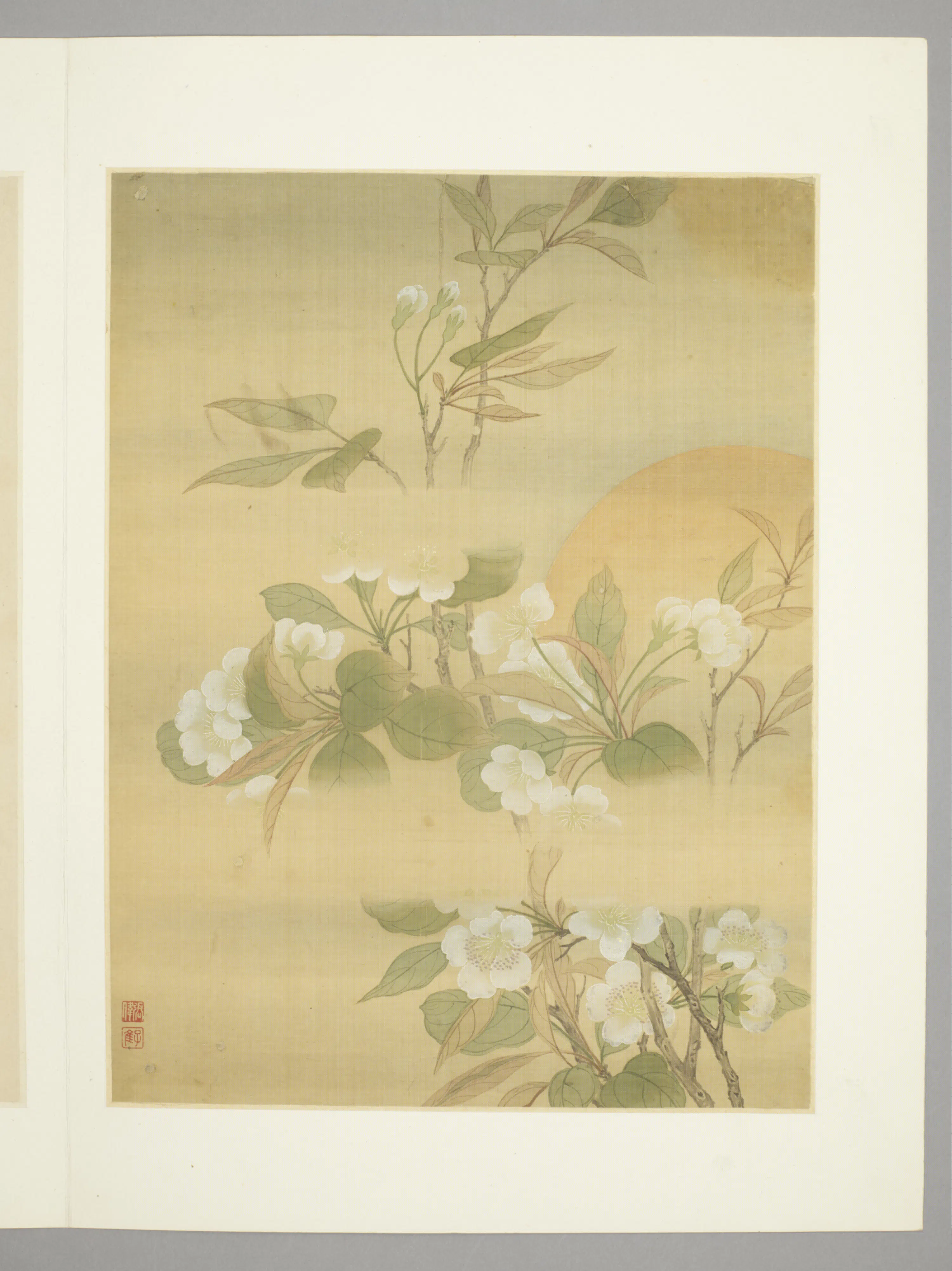 清代【张伟】《花卉册（9开）》 第3张