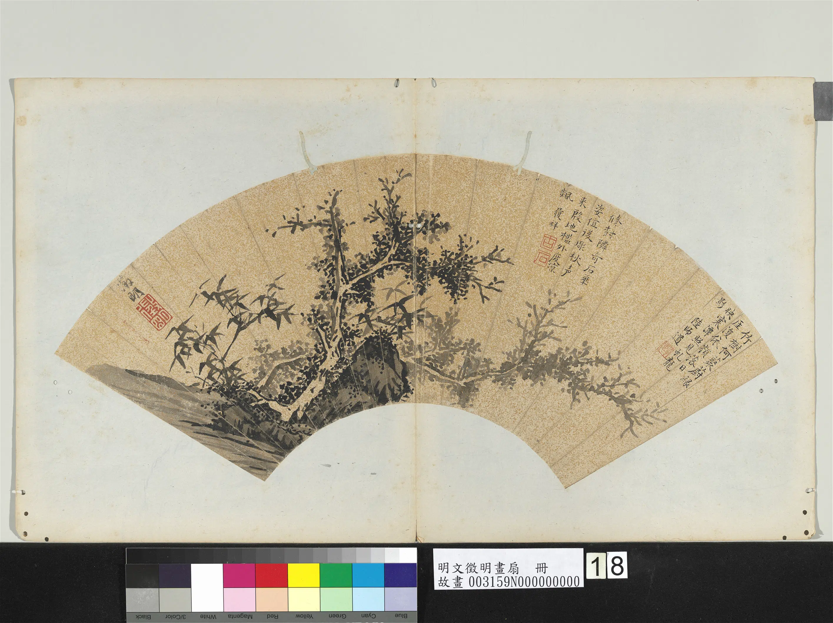 明朝【文征明徵明】《画扇册-竹树-2》 第1张 明朝【文征明徵明】《画扇册-竹树-2》 第1张