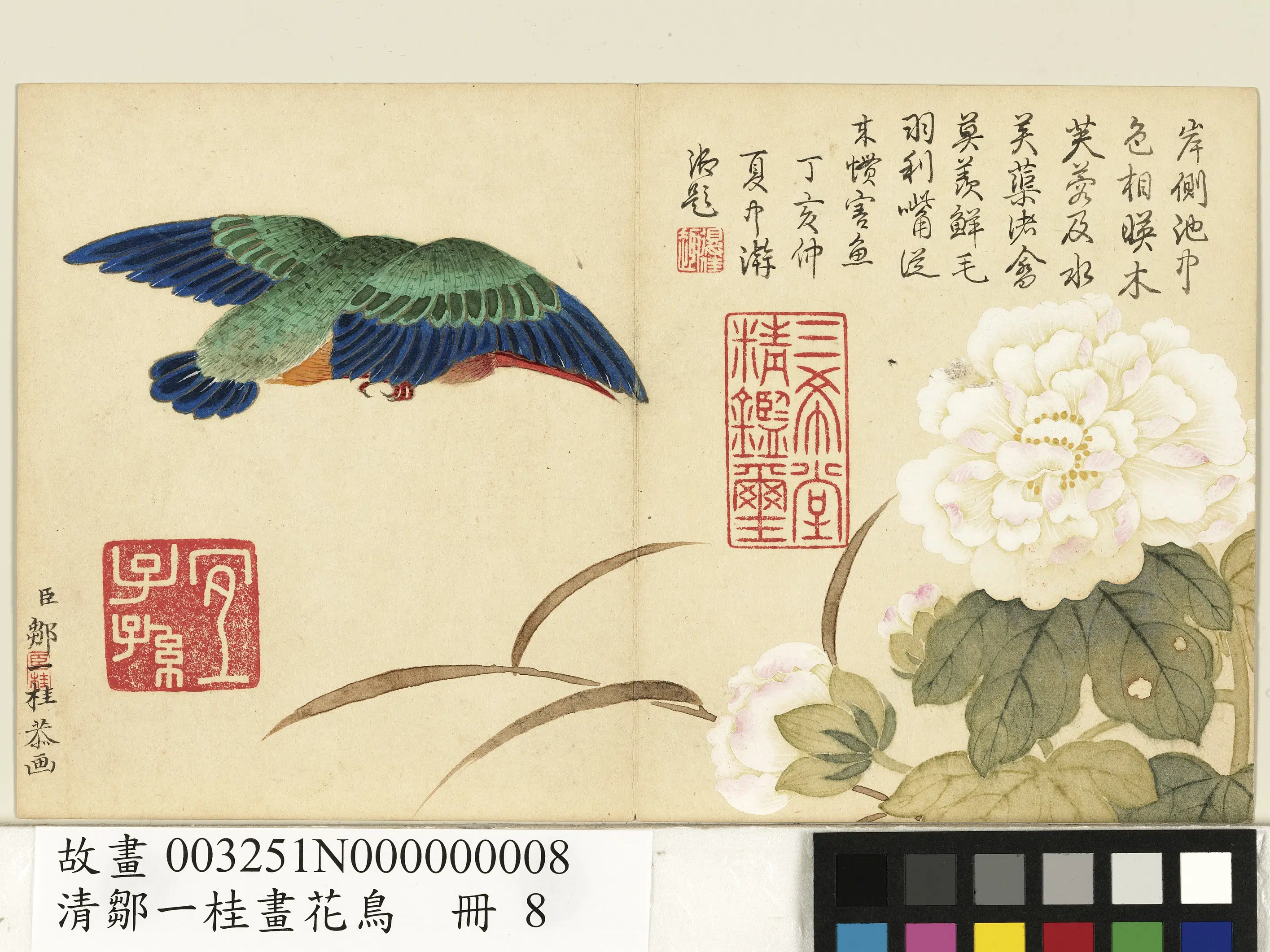 清代【邹一桂】《画花鸟册》 第8张 清代【邹一桂】《画花鸟册》 第8张