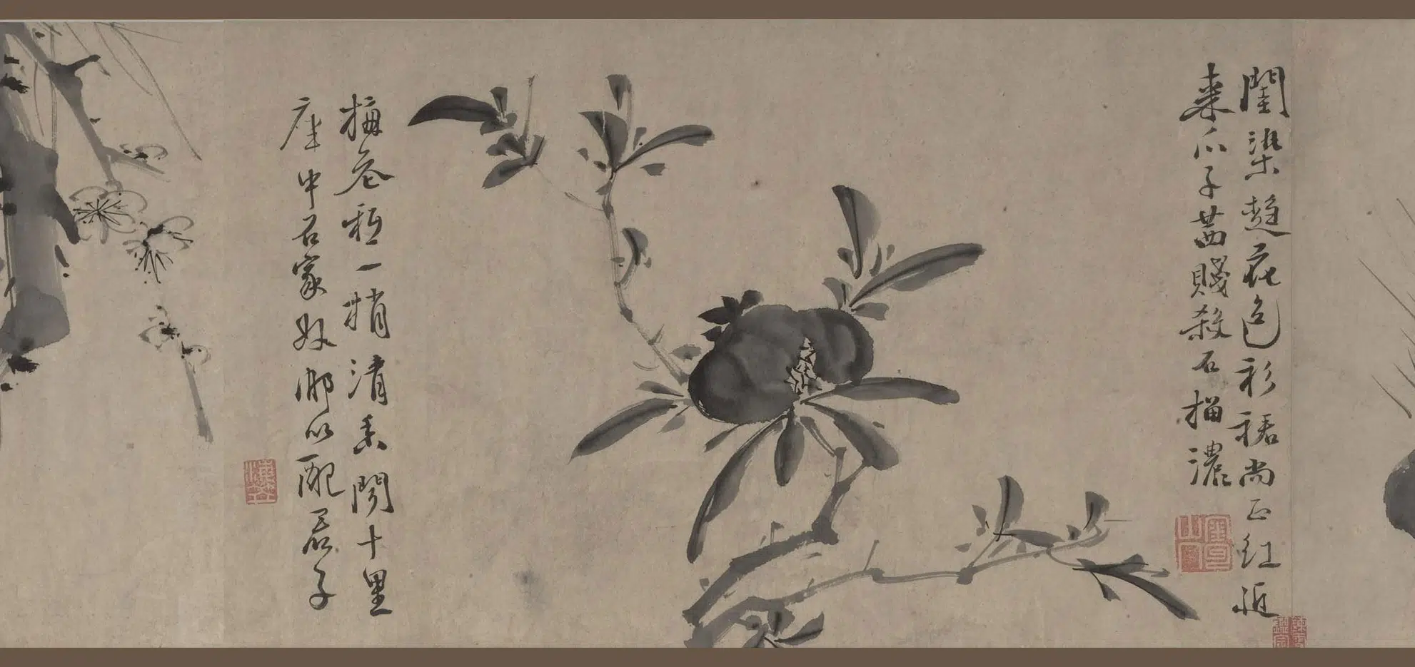 明朝【徐渭】《花卉卷》 第2张