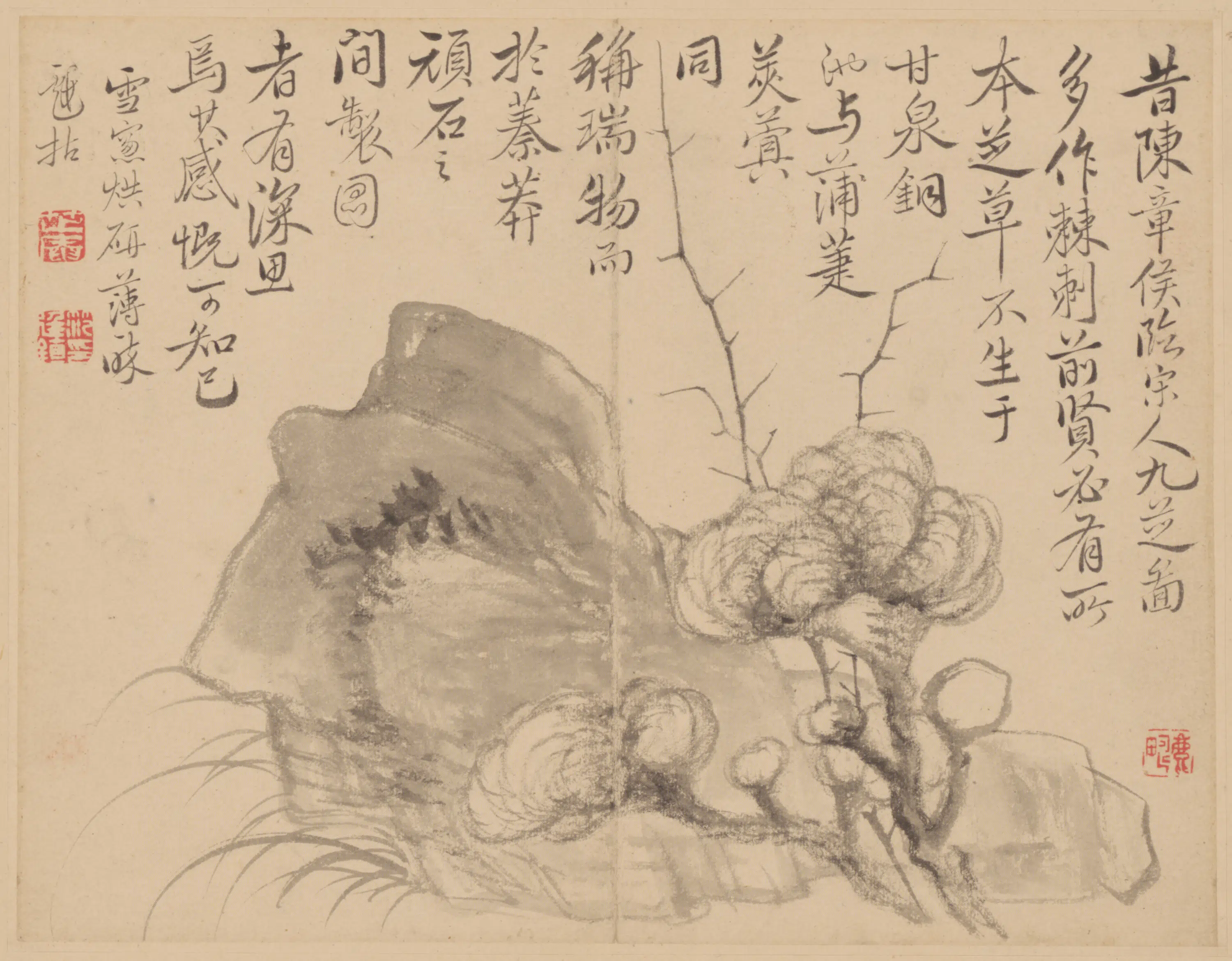 清代【范廷镇】《花卉册》