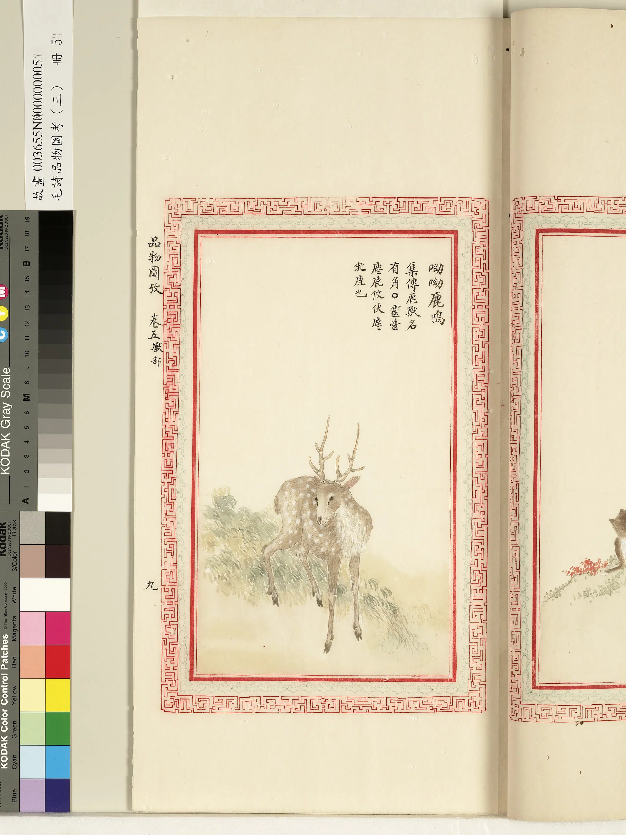 清代《毛诗品物图考(三)册-1》 第11张 清代《毛诗品物图考(三)册-1》 第11张
