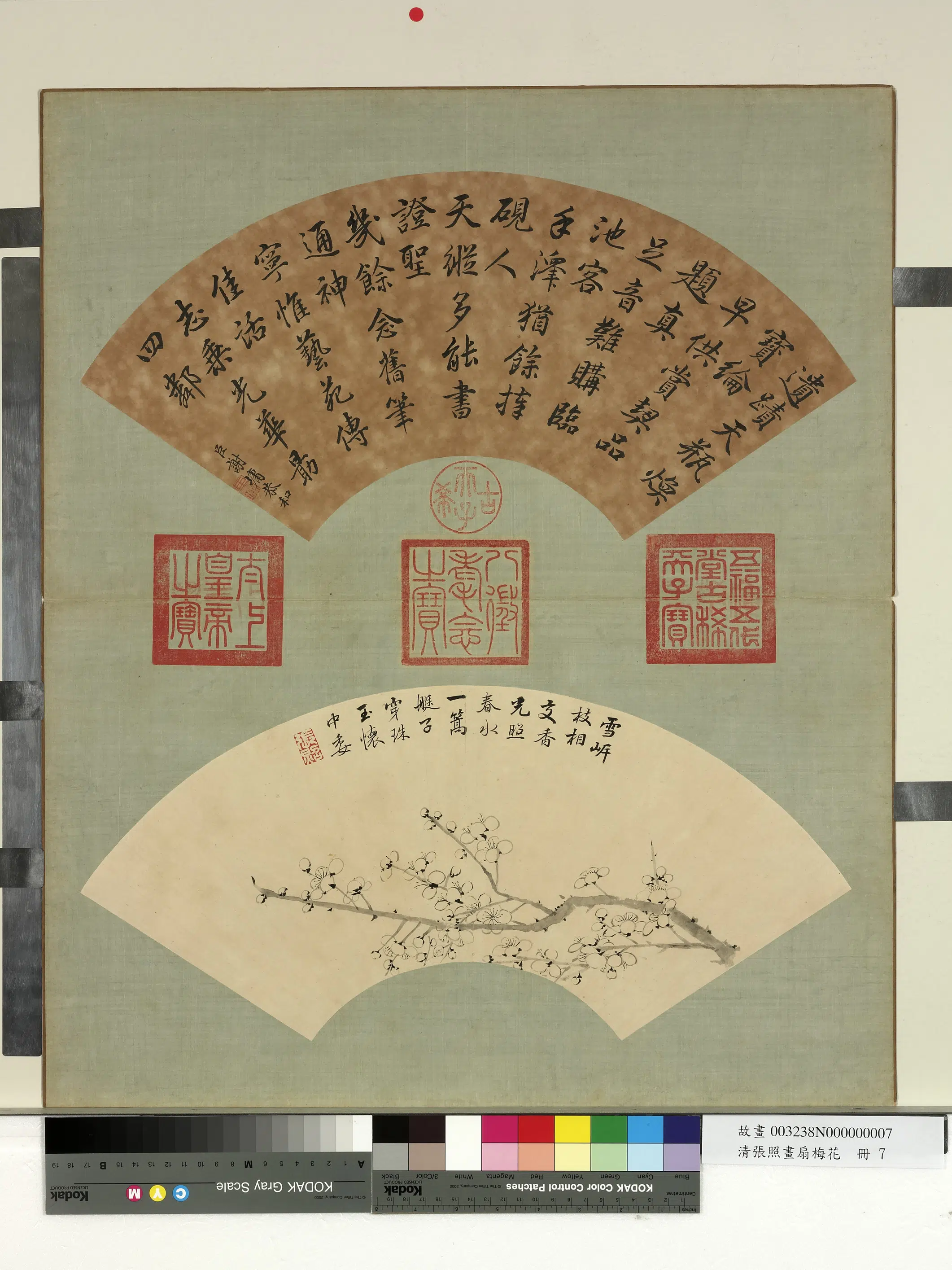 清代【张照】《画扇梅花册-梅花（七）》