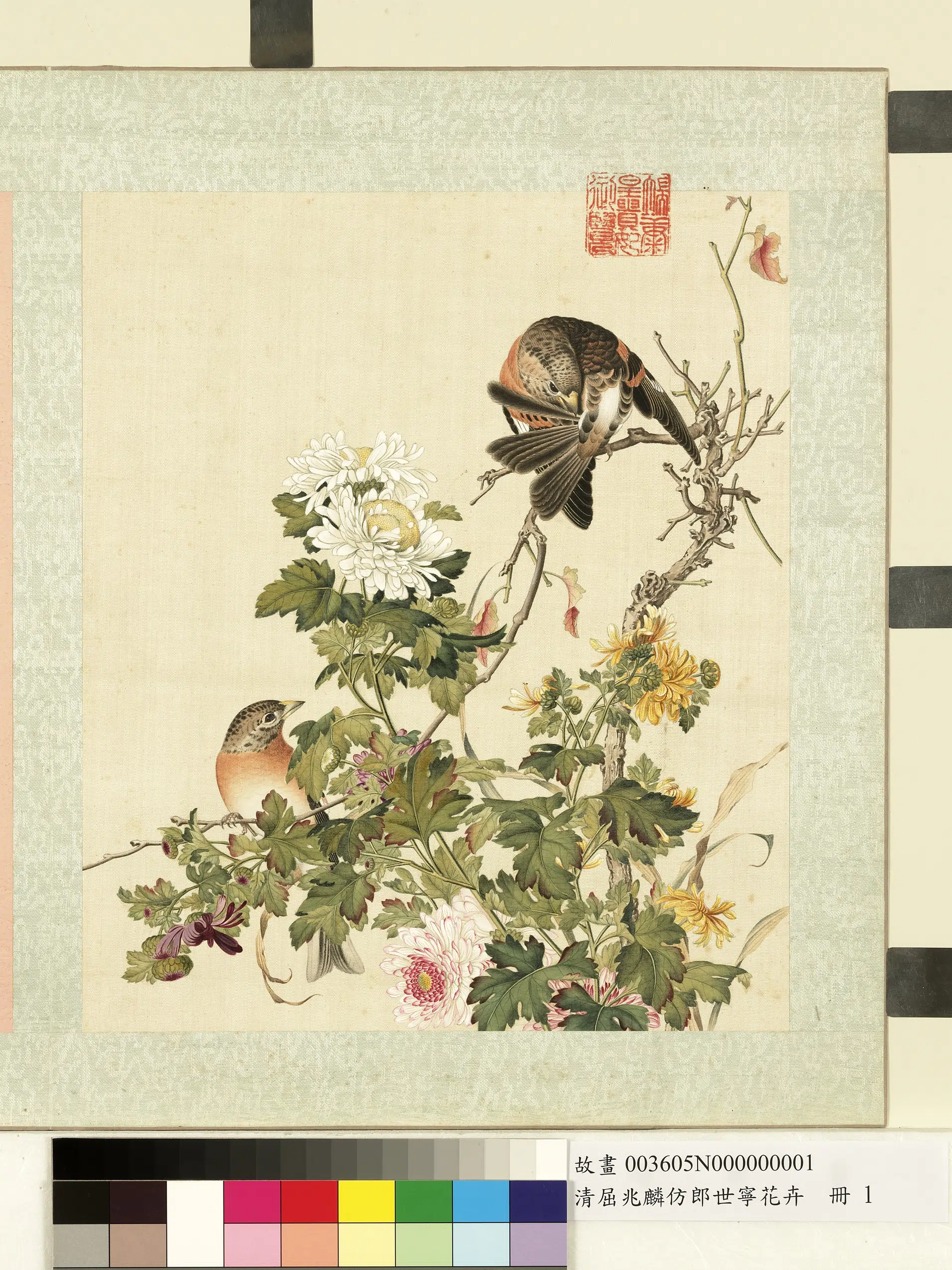 清代【屈兆麟】《仿郎世宁花卉册-菊花》 第1张