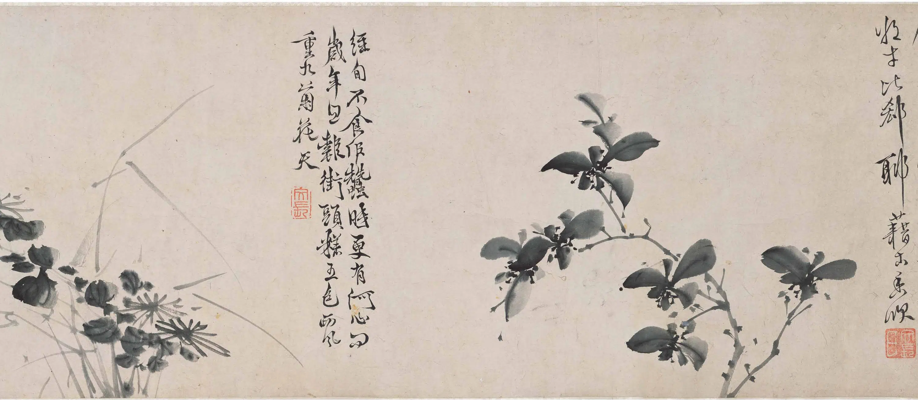 明朝【徐渭】《墨花图卷》 第3张 明朝【徐渭】《墨花图卷》 第3张