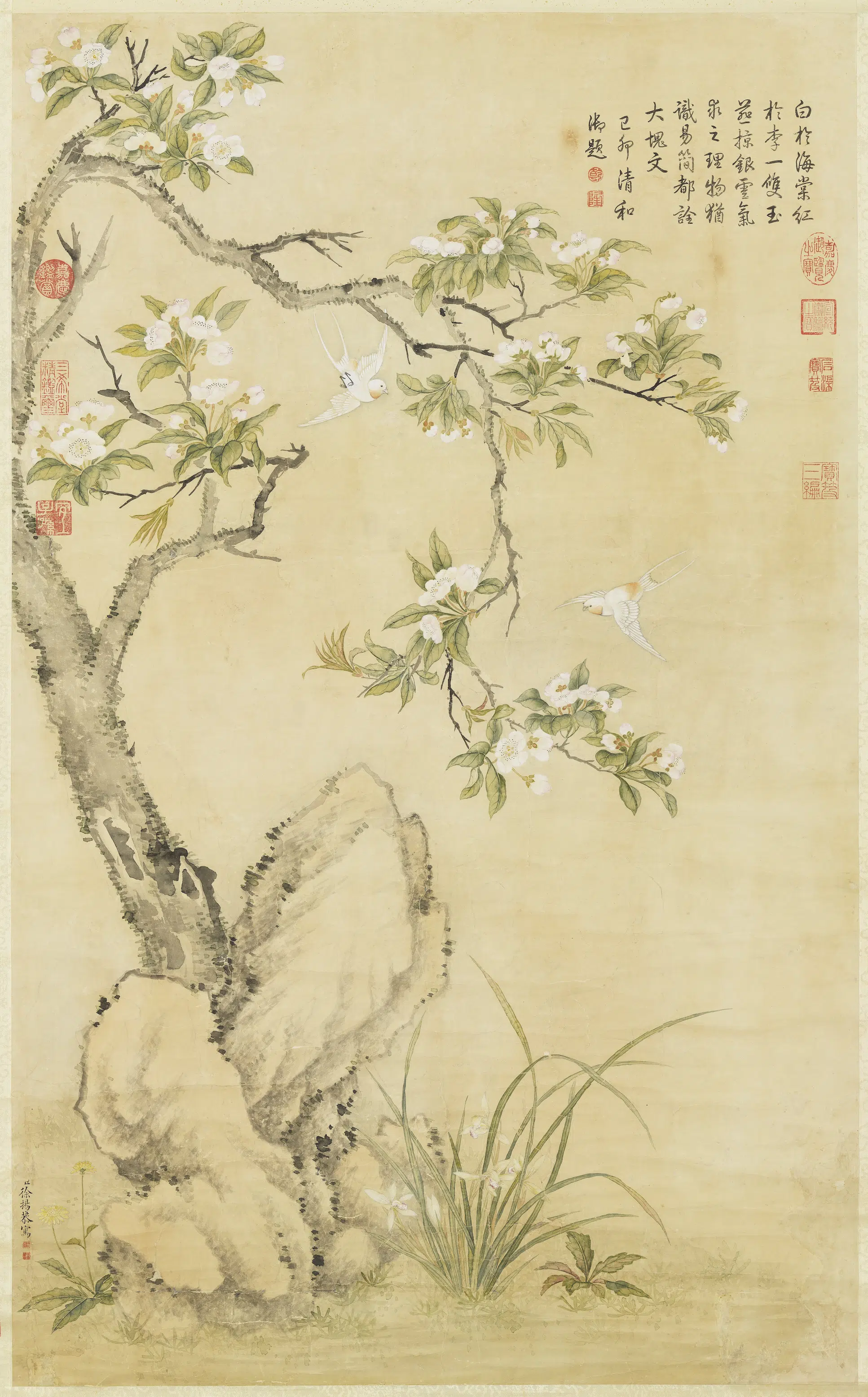清代【徐扬】《梨花白燕高宗御题图轴》