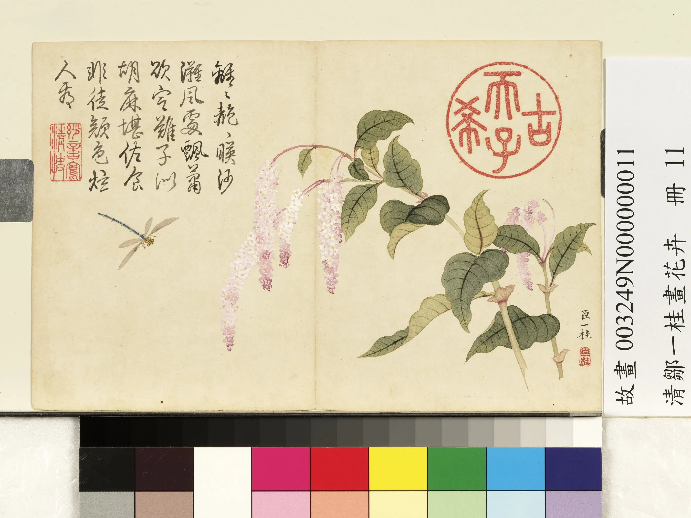 清代【邹一桂】《画花卉册-红蓼》
