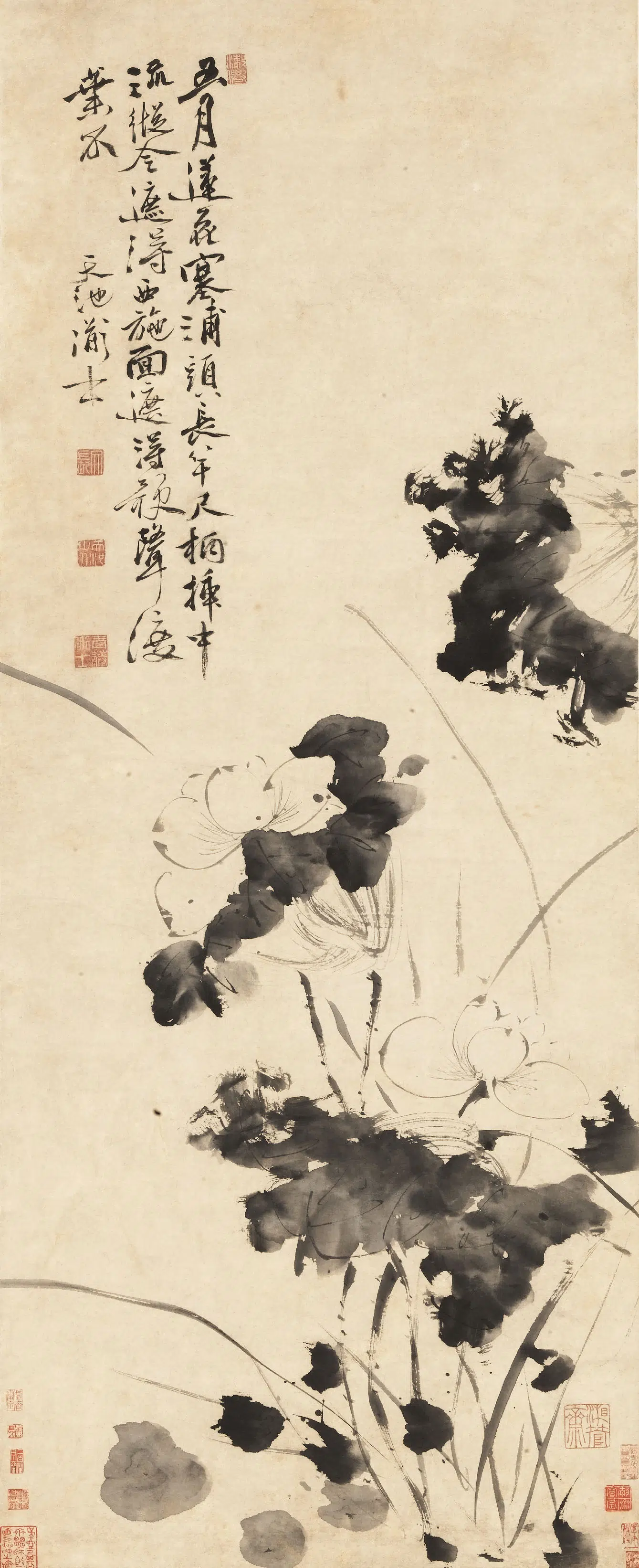 明朝【徐渭】《五月莲花图轴》