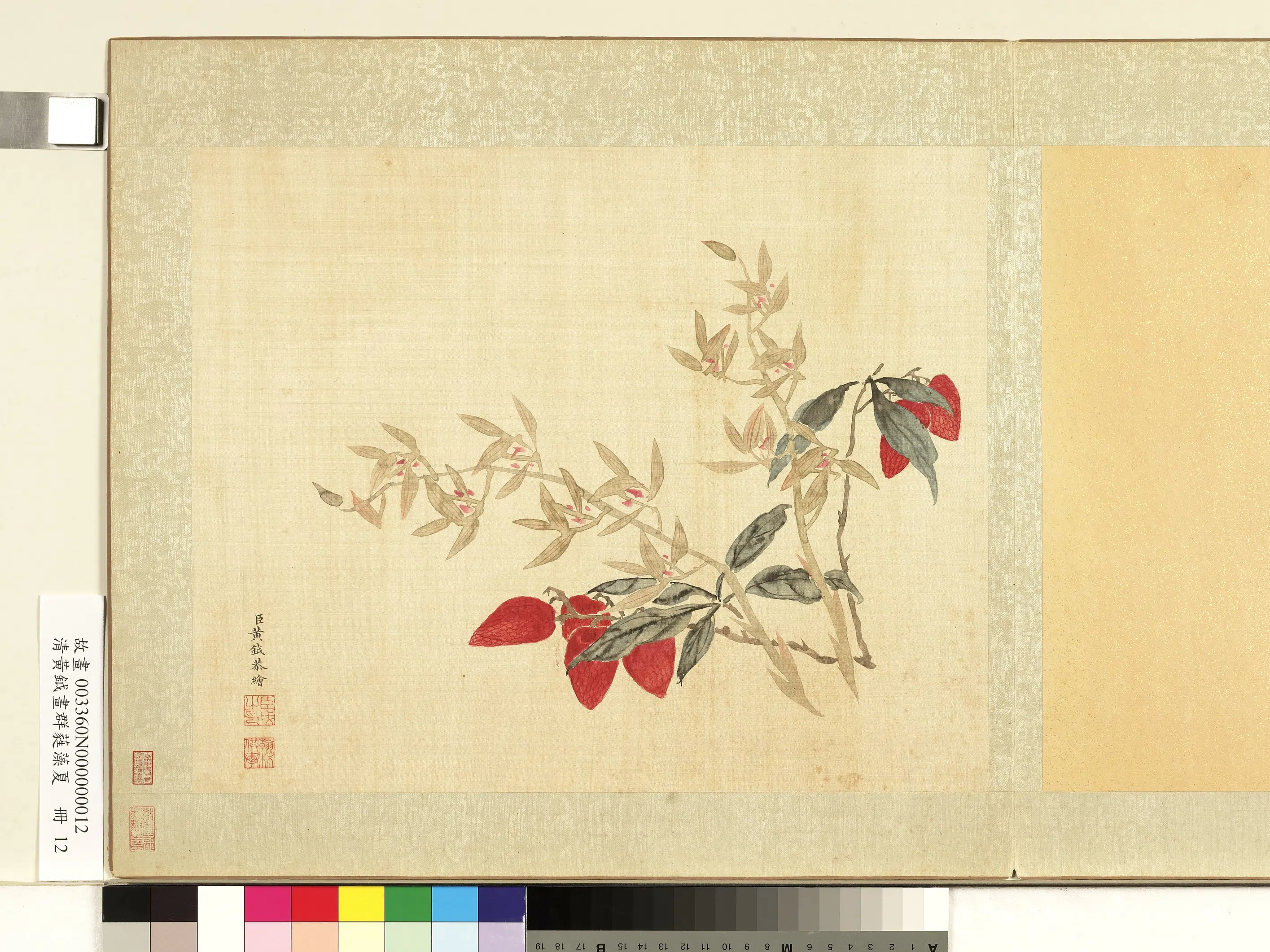 清代【黄钺】《画群蕤藻夏册》 第8张