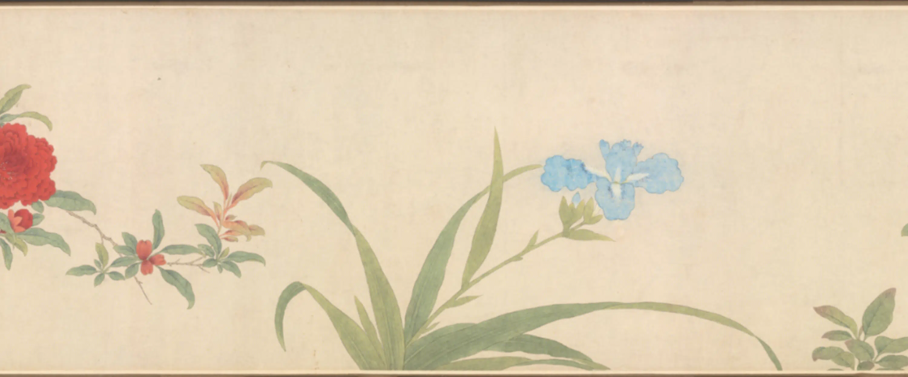 清代【朱昶】《花卉图卷》 第5张