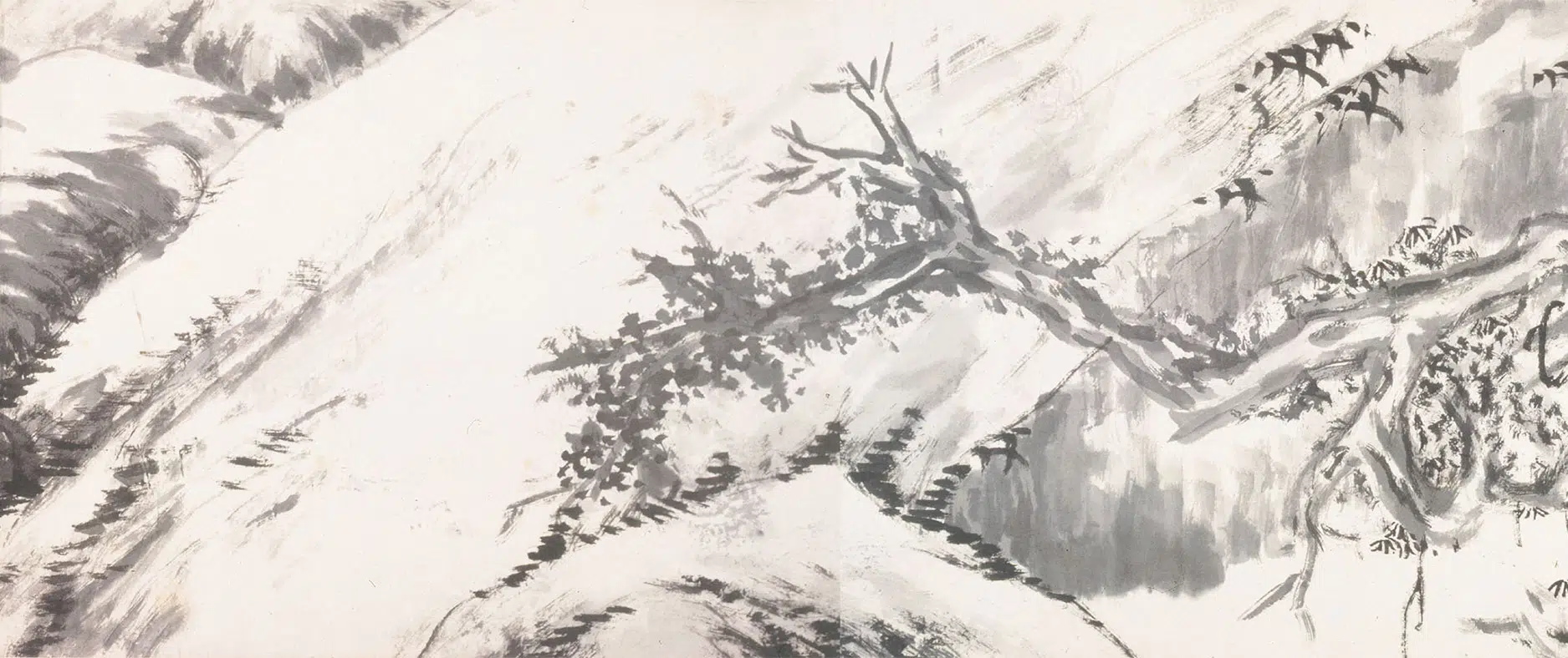 清代【朱耷】《临沈周松柏桐椿图卷》 第11张