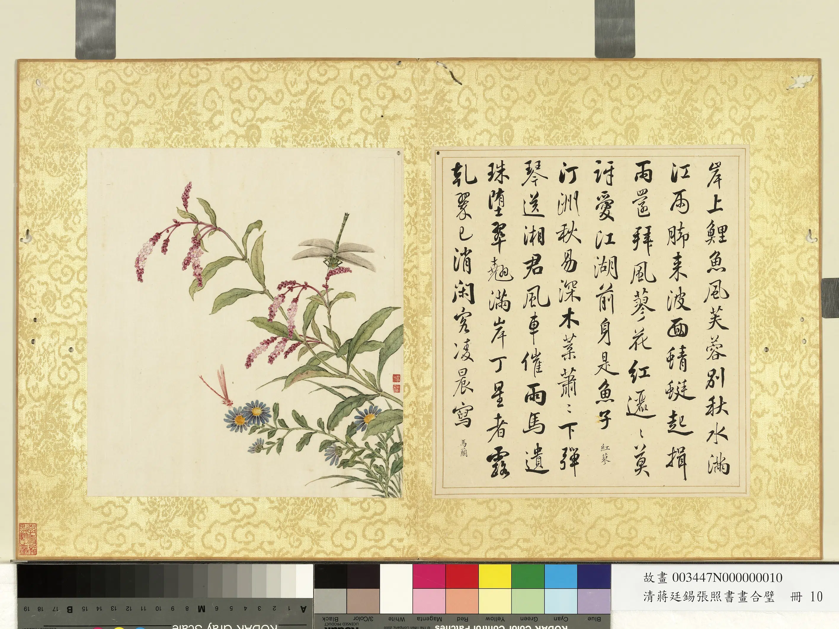 清代【张照蒋廷锡】《蒋廷锡张照书画合璧册-红蓼马兰》
