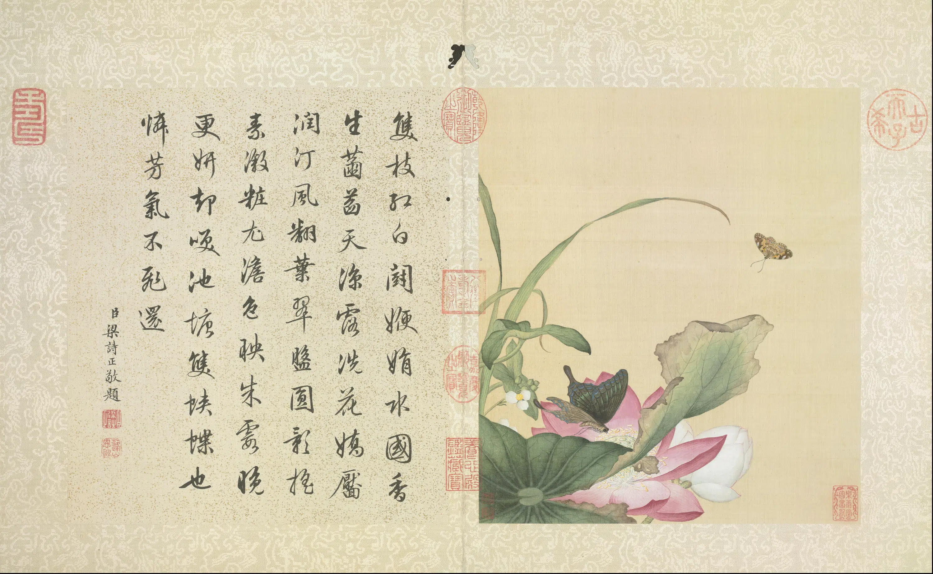 清代【郎世宁】《花鸟册（9开）》 第7张
