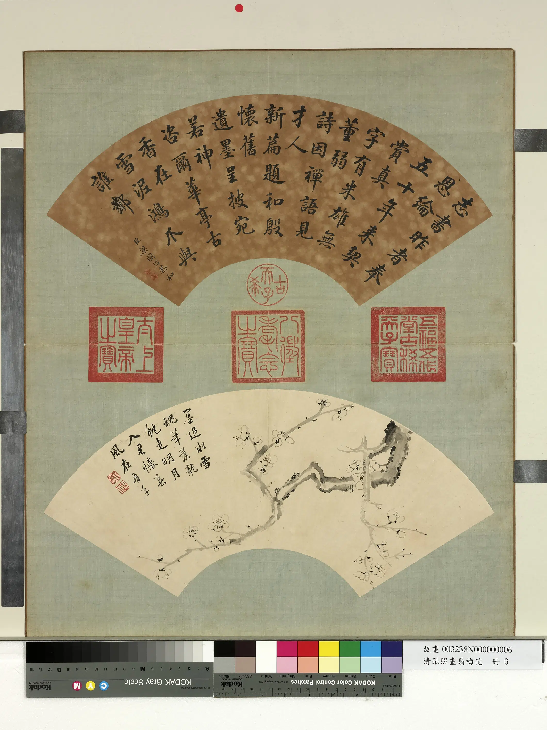清代【张照】《画扇梅花册-梅花（六）》