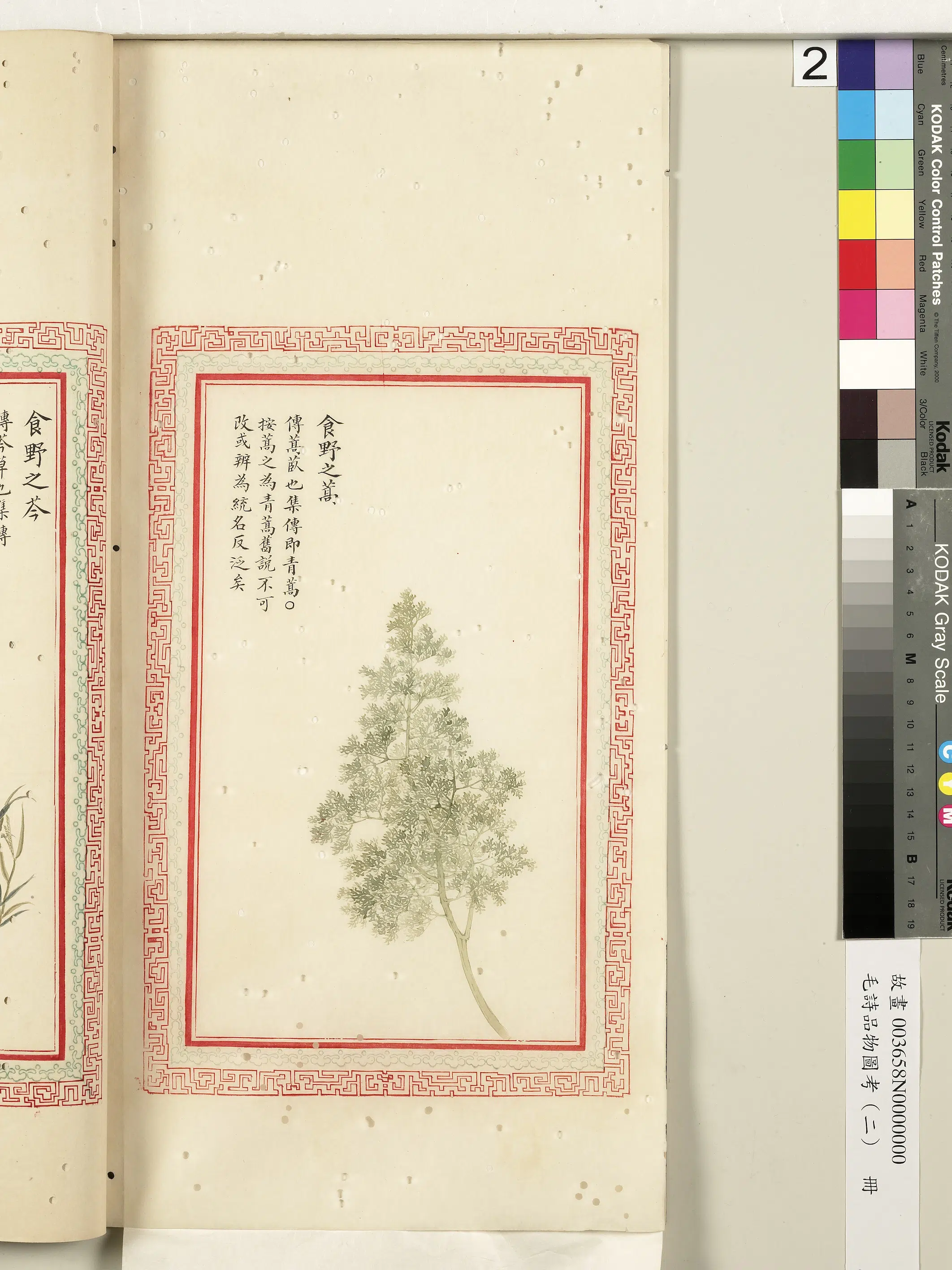 清代《毛诗品物图考（二）册-2》 第65张