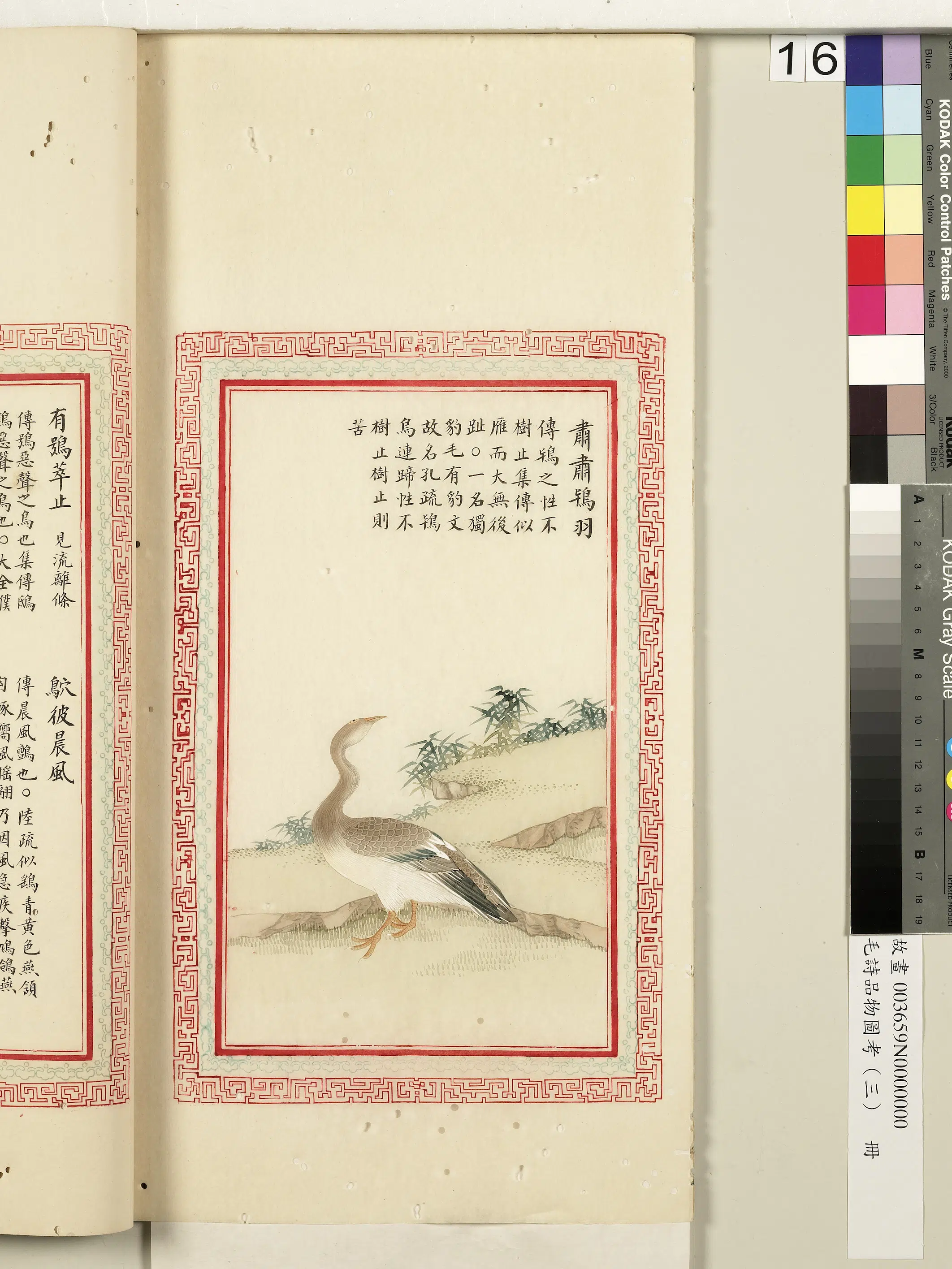 清代《毛诗品物图考(三)册-2》 第39张 清代《毛诗品物图考(三)册-2》 第39张