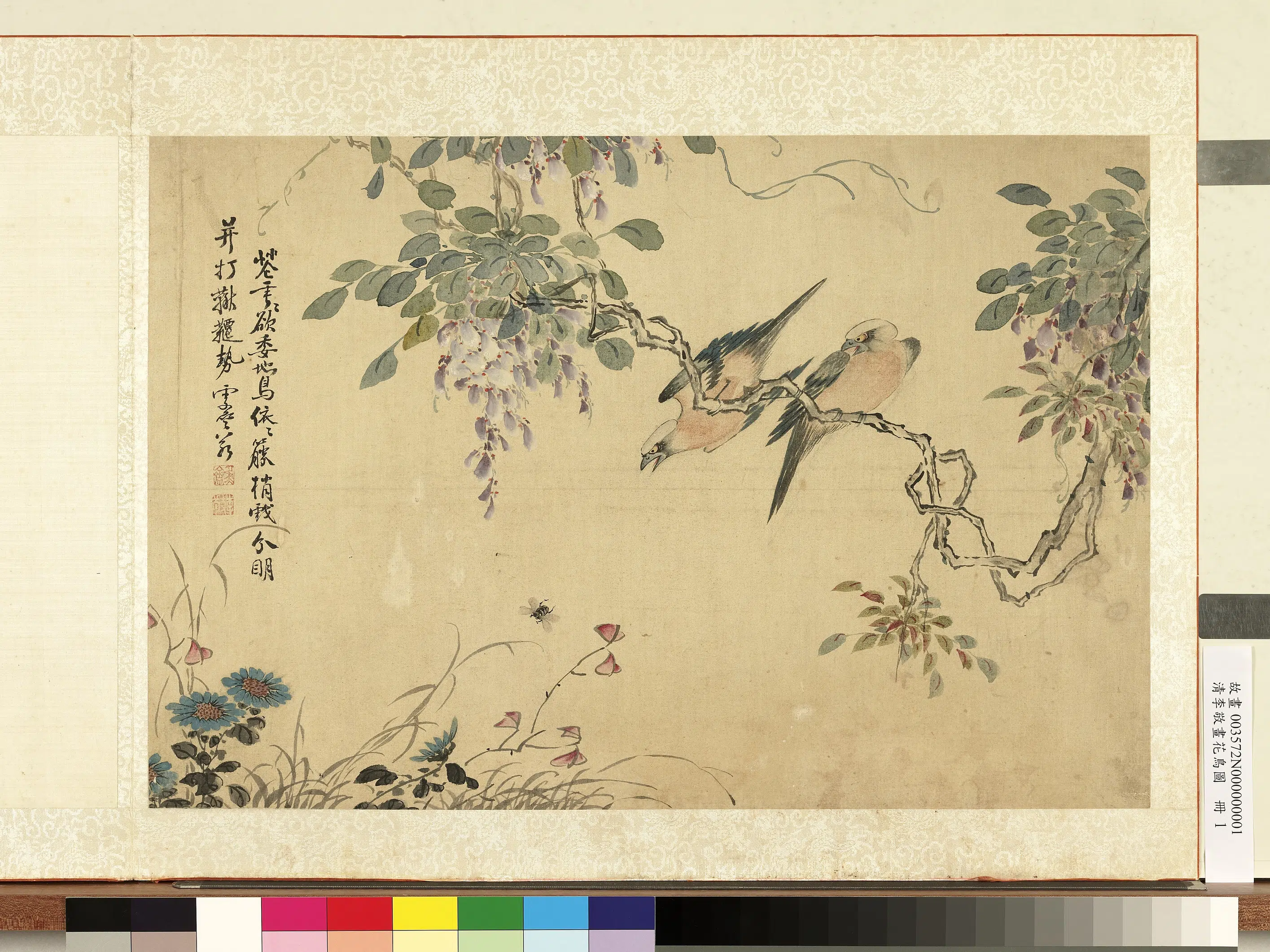清代【李敬】《画花鸟图册-紫藤蜂鸟》