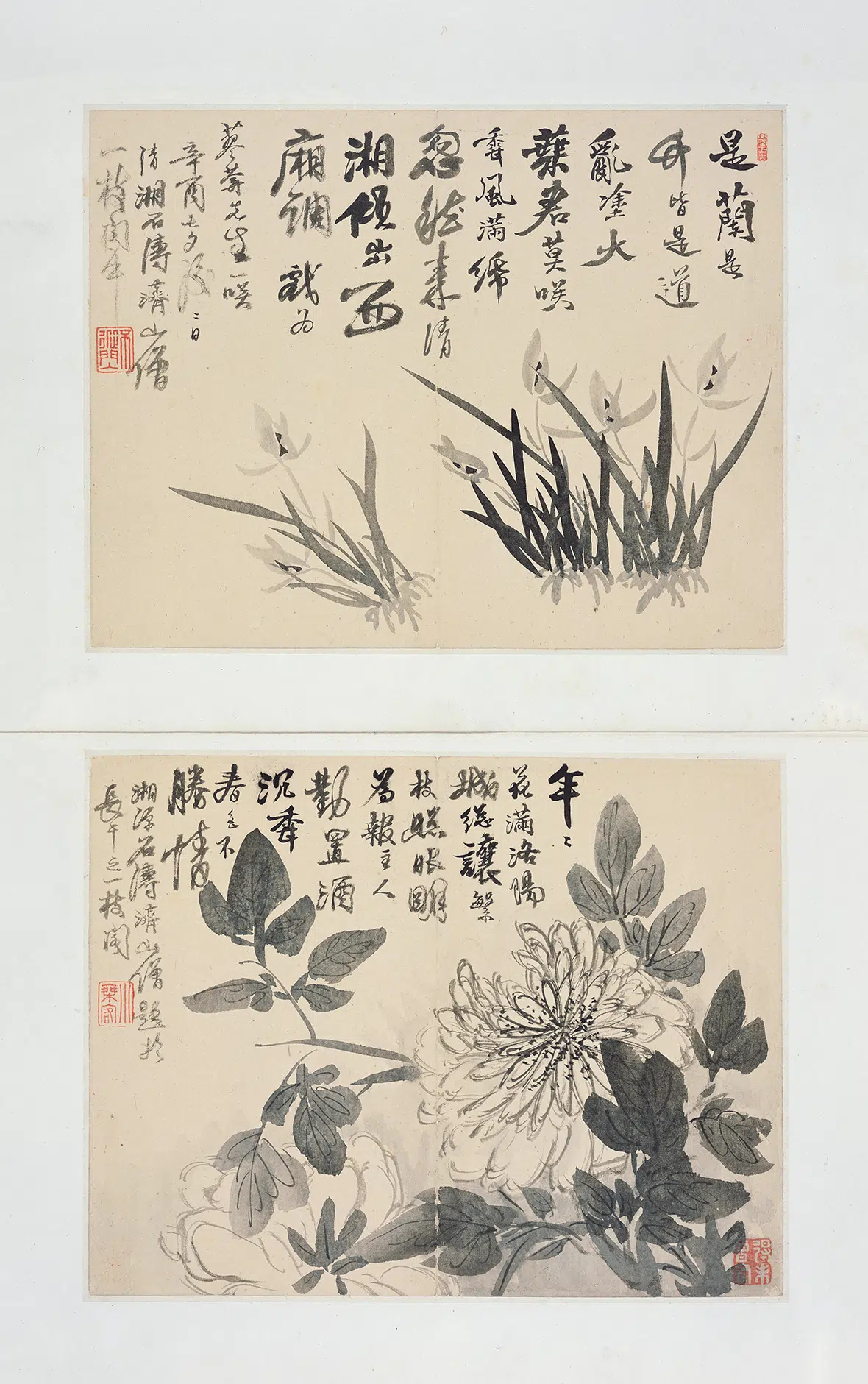 清代【石涛】《花卉山水图册》