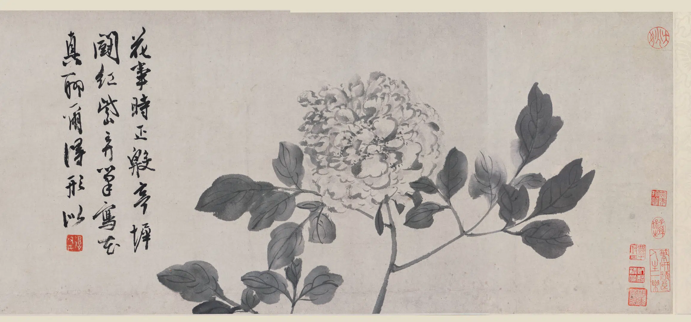 明朝【陈淳(道复)】《花卉卷》 第4张 明朝【陈淳(道复)】《花卉卷》 第4张