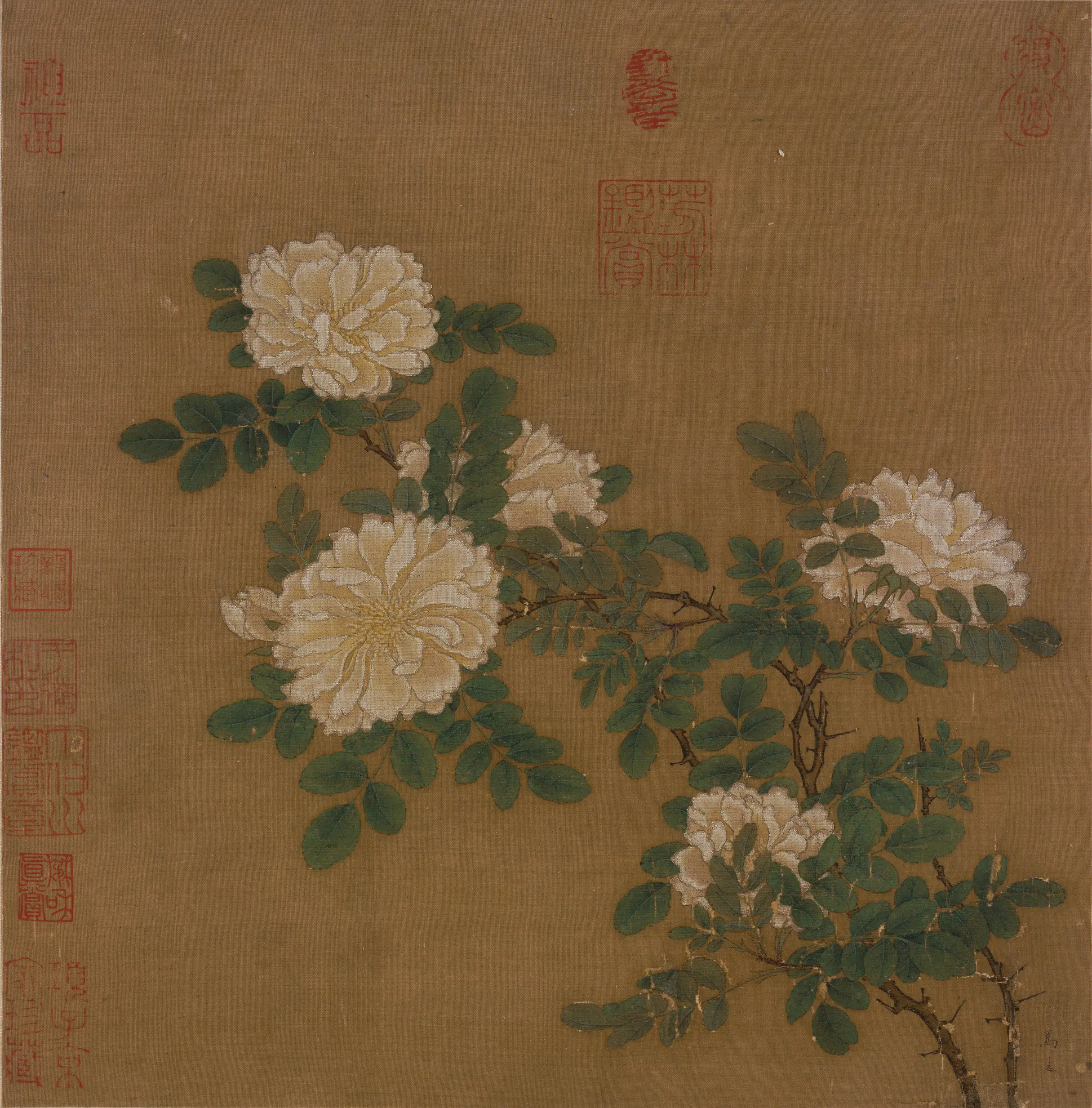 宋代【马远】《白蔷薇图页》