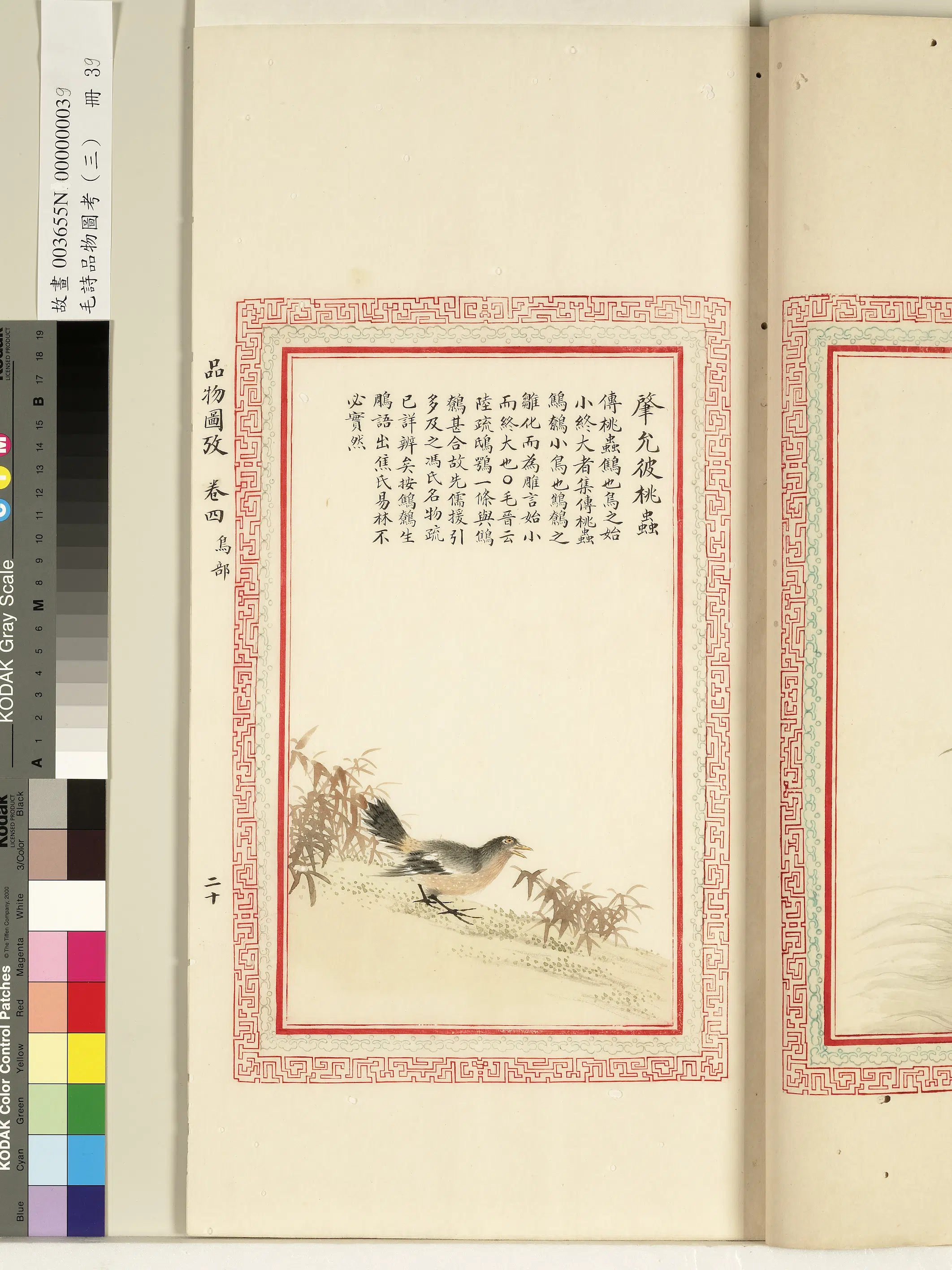 清朝【佚名】《毛诗品物图考（三）册-肇允彼桃虫-1》