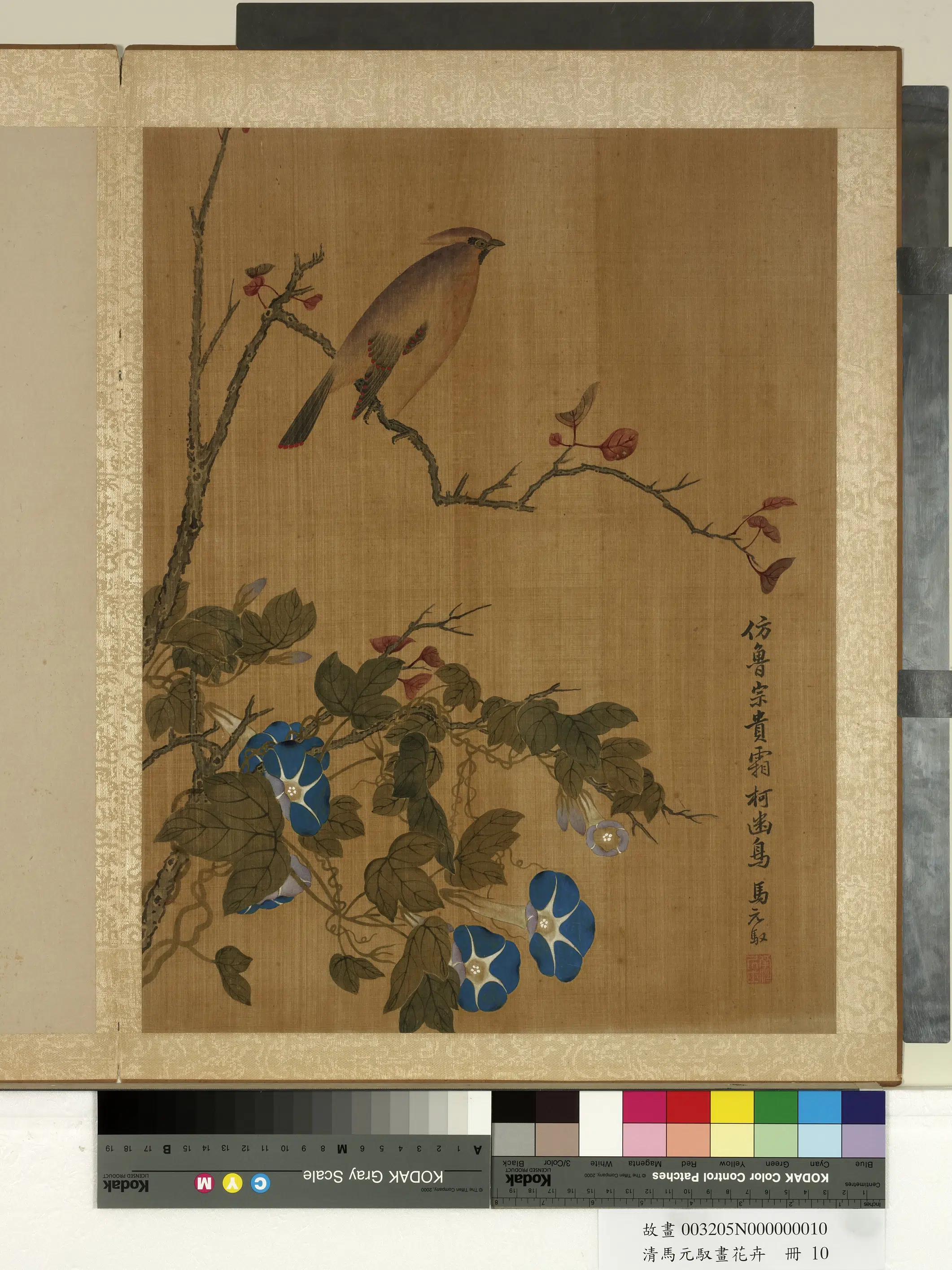 清朝【马元驭】《画花卉册-牵牛雀鸟》