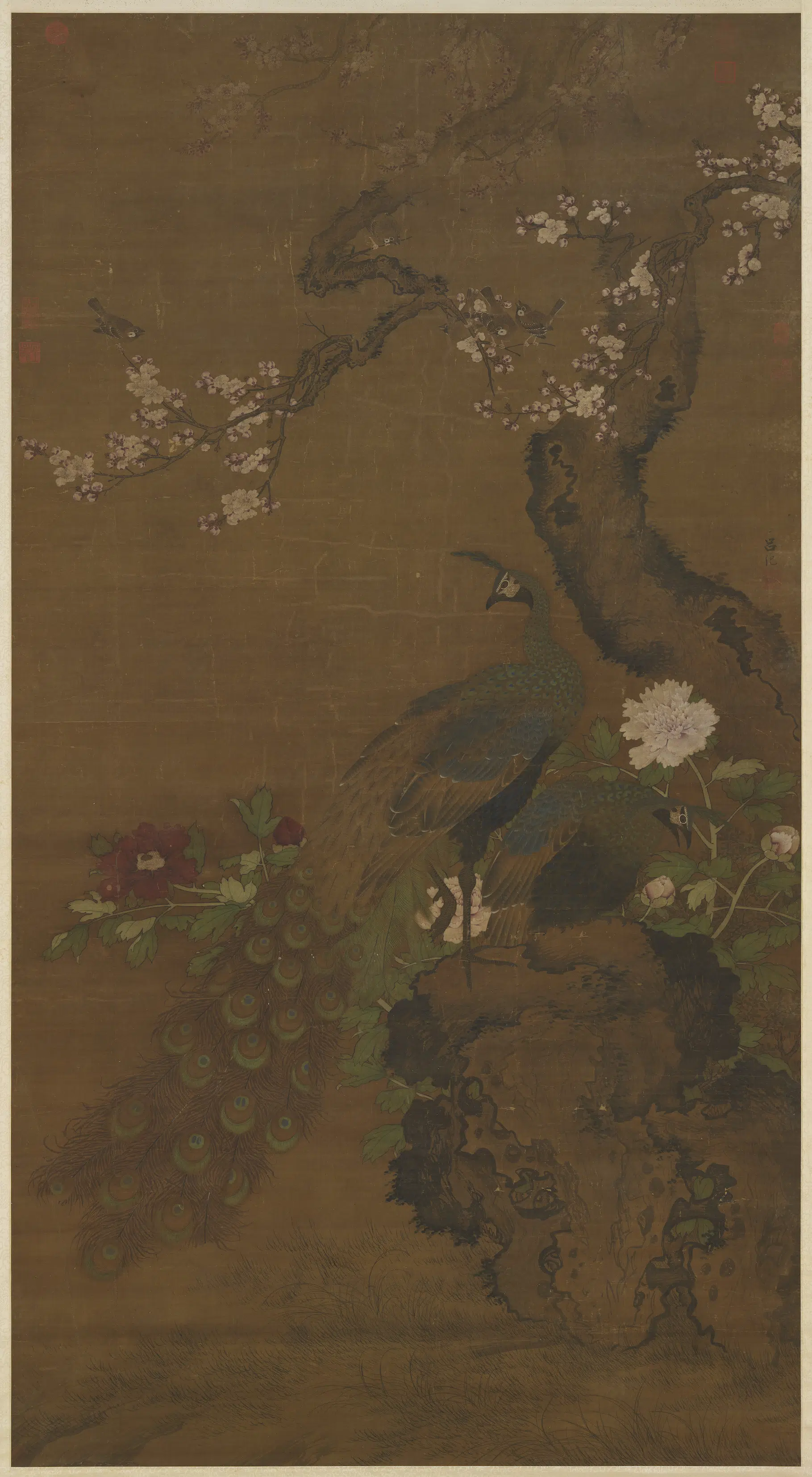 明朝【吕纪】《杏花孔雀图轴》
