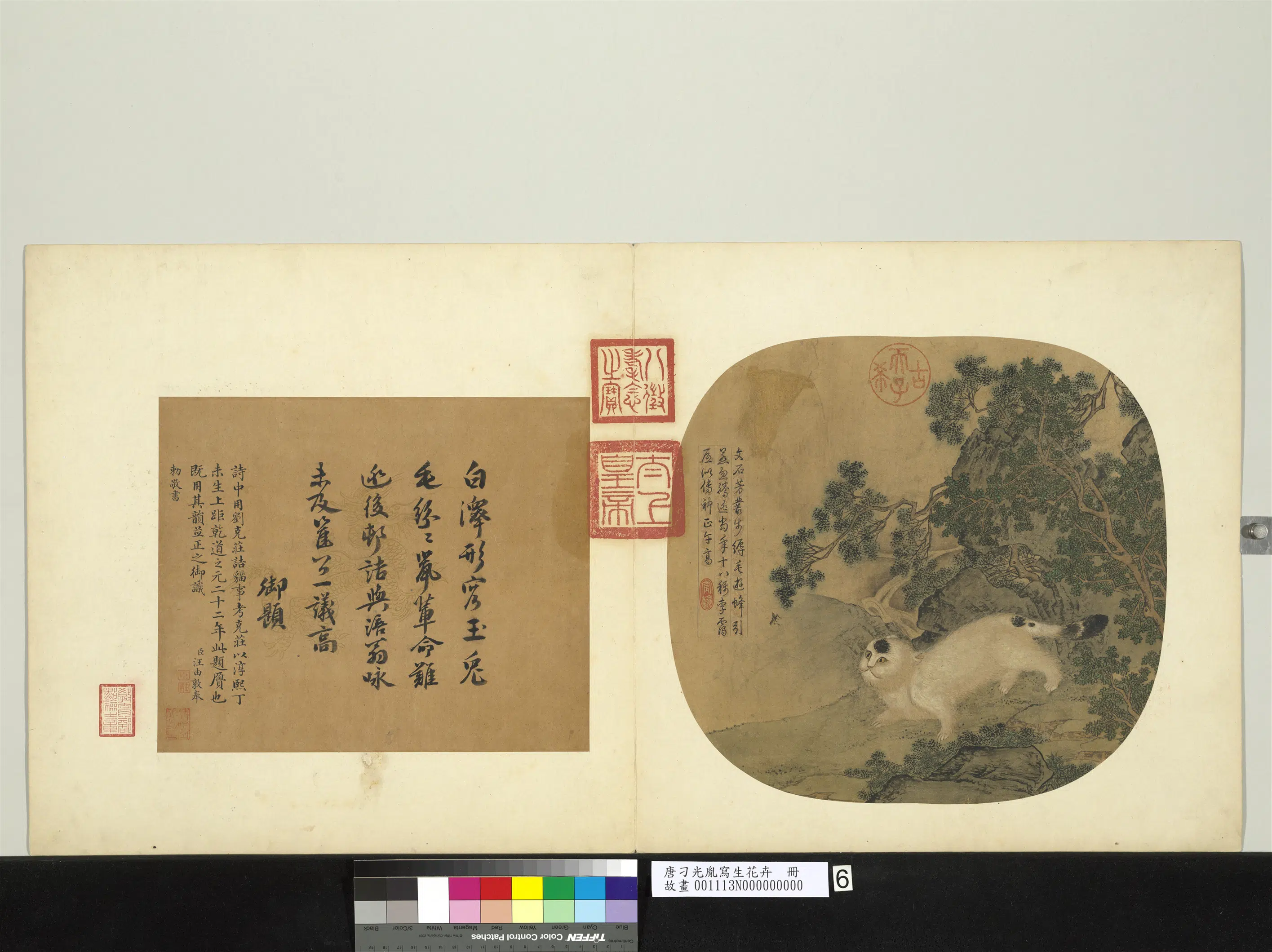 唐朝【刁光胤】《写生花卉册》 第8张